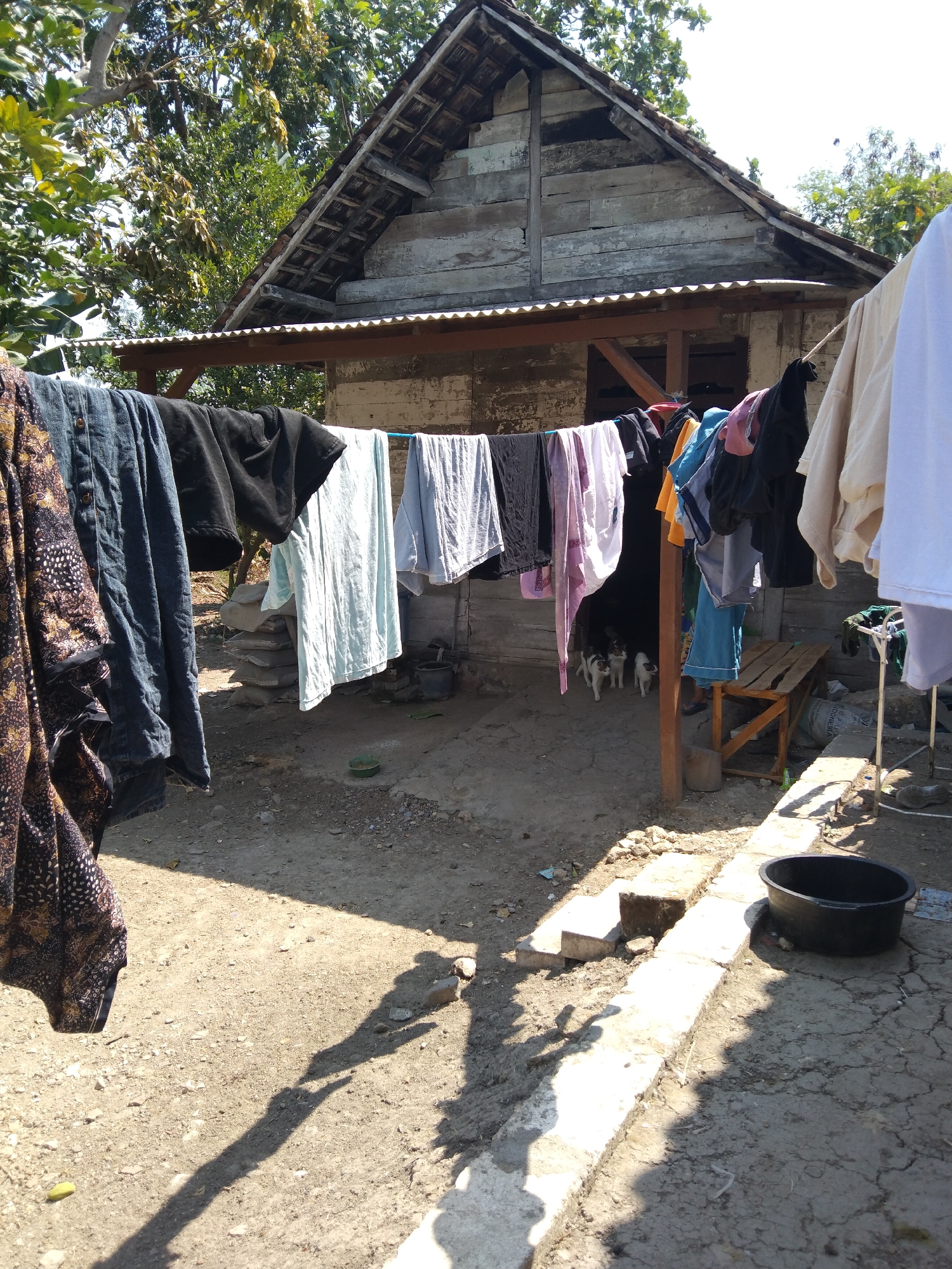 A clothesline is stretched across a dusty yard in front of a weathered, wooden house in Buntalan, Indonesia. Various items of clothing, including a patterned dress, blue jeans, a black t-shirt, and light-colored shirts, hang drying on the line. In the background, a small, rustic wooden bench is positioned near the house. Three puppies are visible walking under the eaves of the house. A black plastic basin sits on the ground in the foreground. The scene is bathed in bright sunlight, casting long shadows across the ground.