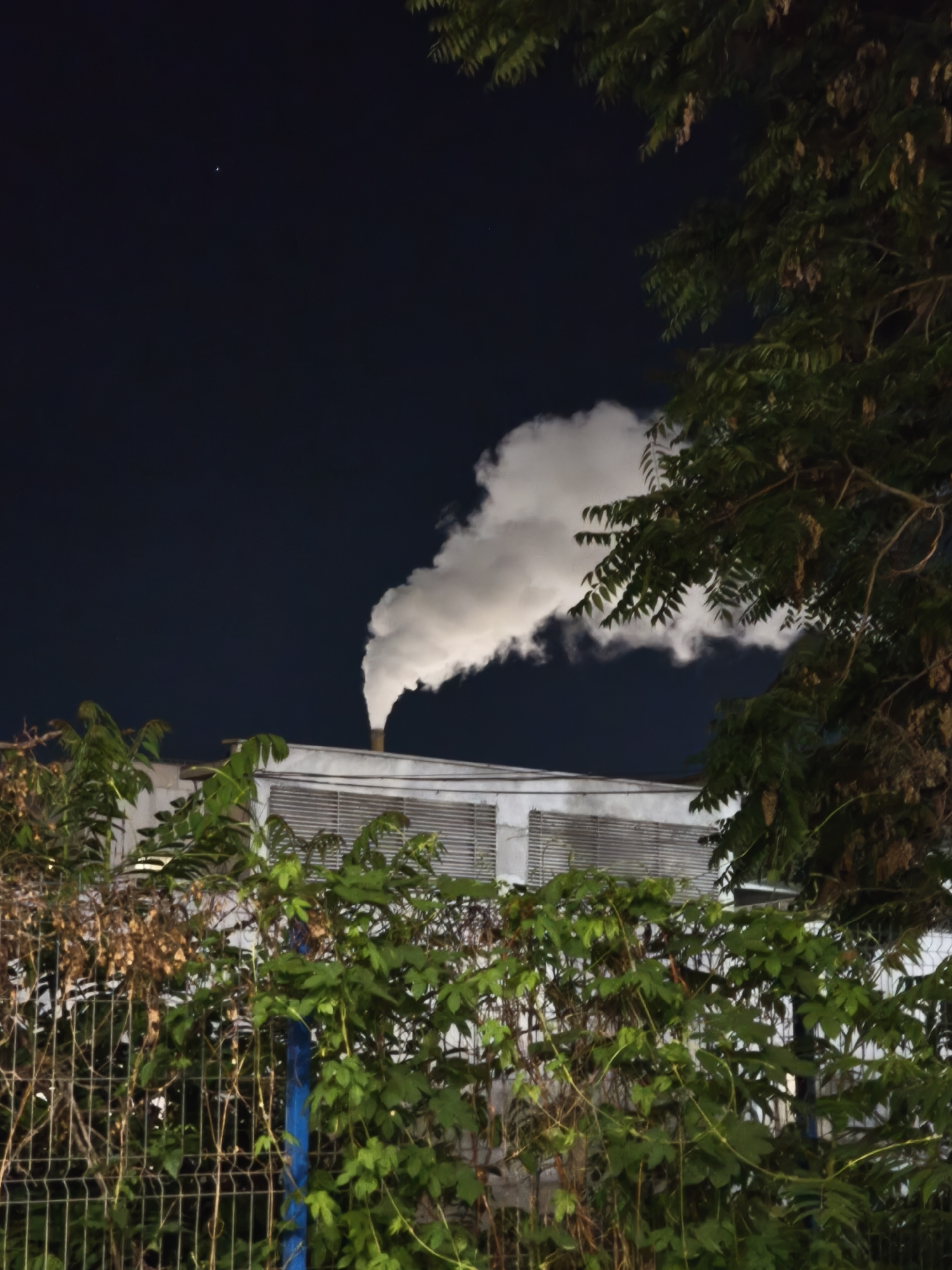 A factory chimney is seen emitting a plume of white smoke against a dark night sky. The factory building, partially obscured by foliage and a fence, has horizontal louvers on its exterior. A crescent moon is visible in the upper left quadrant of the sky. Lush green foliage and branches of a tree in the foreground and right side of the image partially obstruct the view of the factory. The scene is set in the city of Unknown, Unknown.