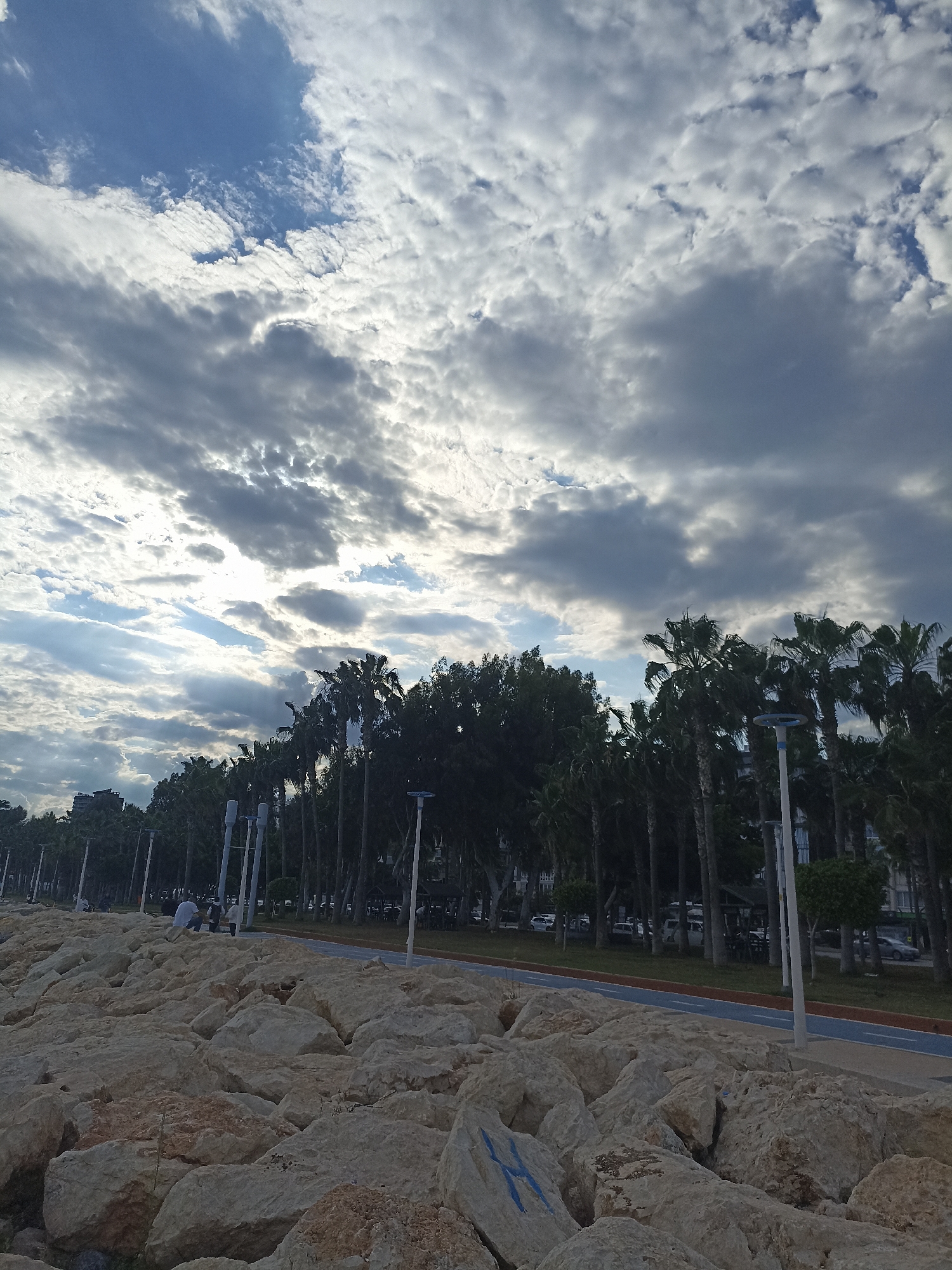 The image depicts a coastal scene in Yenişehir, Turkey. In the foreground is a large pile of irregularly shaped, light-colored rocks. Behind the rocks, a paved walkway runs parallel to the shoreline, marked with blue and brown lines. Beyond the walkway, a row of tall palm trees and other greenery line the coast, obscuring some buildings and cars in the background. Streetlights are interspersed among the trees. In the mid-ground, two or three people can be seen near the rocks and pavement. The sky is dominated by a mix of white and dark gray clouds.