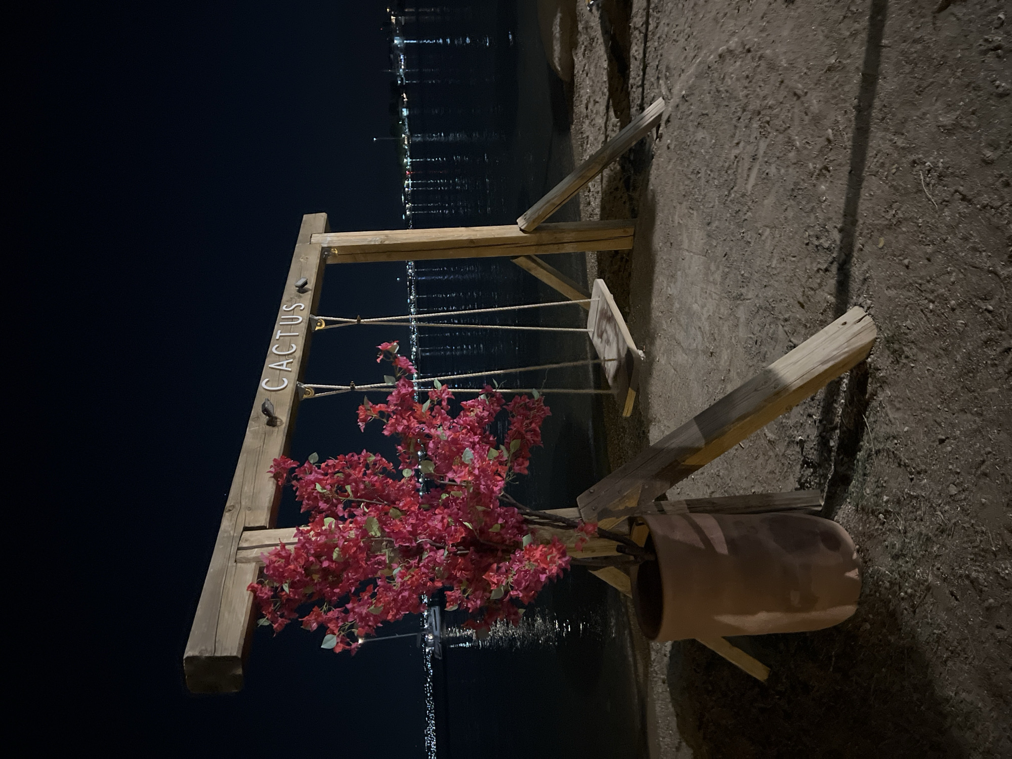 The image depicts a night scene on a sandy embankment near a body of water. A wooden swing set, constructed from rough-hewn lumber, stands prominently. The words "CACTUS" are visible in white lettering on the horizontal beam of the swing set. A potted plant with vibrant pink flowers is positioned to the left of the swing set, in front of the water. The water itself reflects the lights of a distant coastline, suggesting the presence of a town or city. The sky is dark and clear. The overall setting appears to be a waterfront area in a municipality.