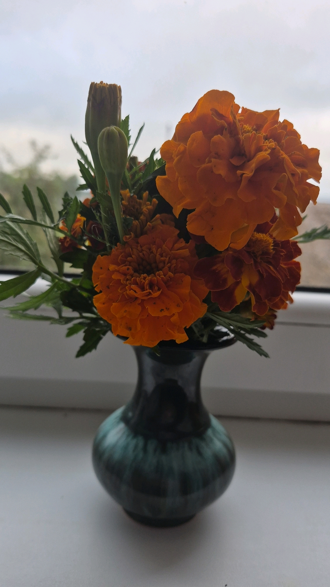 A close-up, eye-level shot captures a small bouquet of marigolds in a dark green, ombre-glazed ceramic vase. The vase, which has a bulbous base and a narrow neck, sits on a white surface, likely a windowsill, with a blurred background of a cloudy sky and distant greenery. The marigolds, predominantly orange with some reddish-brown undertones, are tightly packed, with some fully bloomed and others still in bud. The lighting suggests it is daytime, possibly overcast, casting a soft glow on the flowers and vase. The scene is devoid of any human presence or activity. The location is identified as Krauja, Latvia.