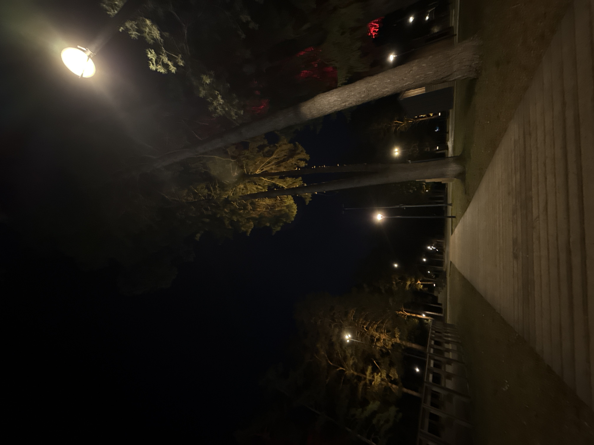 The image presents a nighttime outdoor scene, likely in a park or recreational area in Votkinsk, Russia, characterized by artificial lighting illuminating a pathway and trees. No people are visible.
The scene is dominated by numerous trees with visible trunks and foliage, primarily on the left side of the frame. The time of day is clearly night, with the sky and unlit areas appearing deep black, contrasting sharply with the bright, warm-toned illumination. The weather appears clear, allowing for distinct light sources.
Various types of artificial lights are present. A bright, circular streetlight, slightly overexposed, is prominent in the upper left. Other streetlights, emitting a warm glow, line what appears to be a pathway receding into the distance on the right. Some red lights are scattered among the distant trees, possibly decorative or indicating a nearby structure. Smaller, warm-toned string lights or individual lamps also adorn the tree canopies, contributing to the ambiance.
A wide, light-colored wooden pathway or boardwalk runs along the right side of the image, extending from the foreground towards the background. Its surface is textured with visible planks. Adjacent to the pathway is a strip of grass. Further along the pathway, a wooden fence or railing is visible. The overall scene suggests a tranquil, well-maintained environment suitable for evening strolls. No visible text is present in the image.