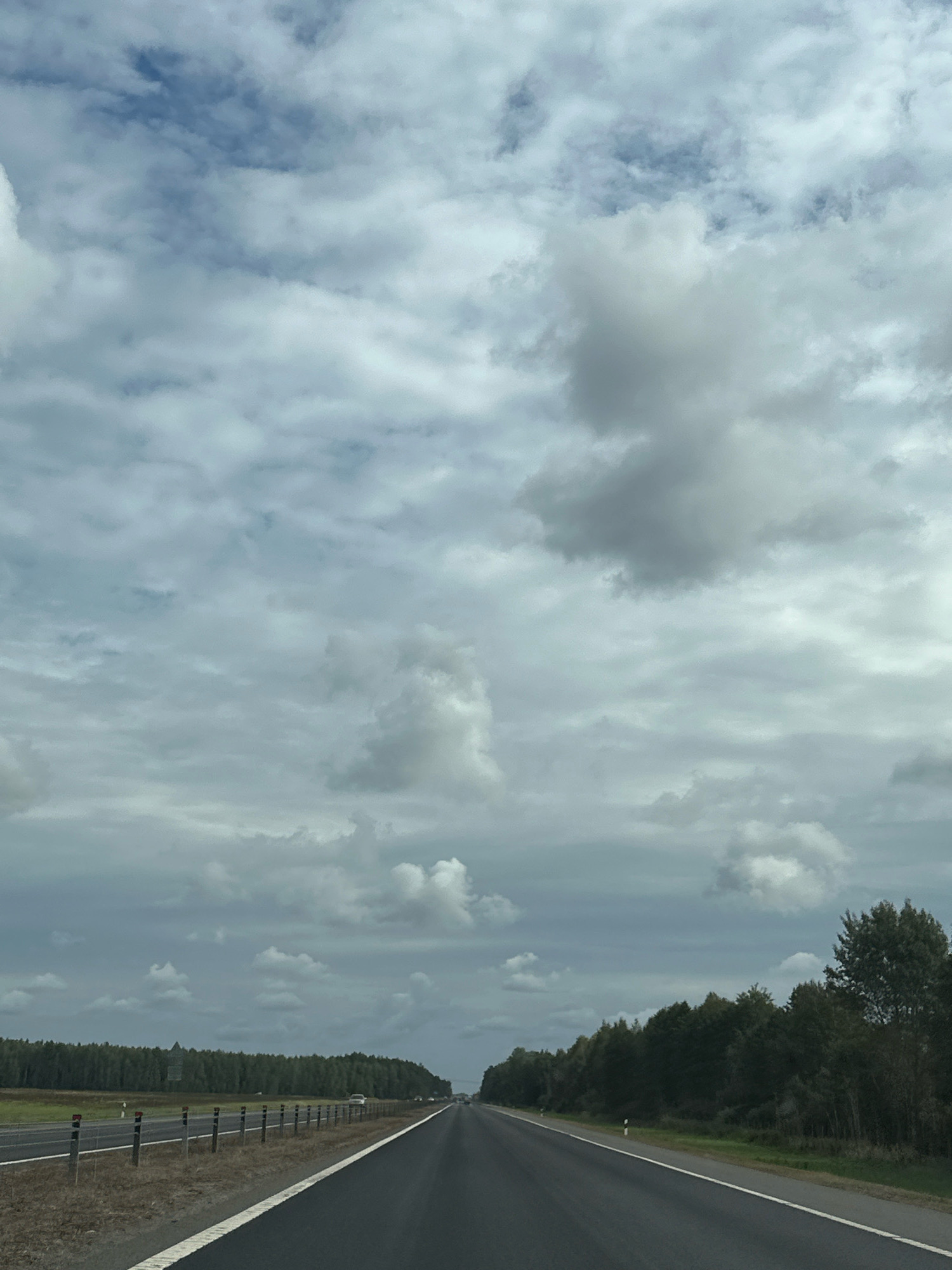 The image depicts a highway scene in Yasenski Sel'ski Savet, Belarus. A paved road stretches into the distance, bordered by a grassy shoulder and a row of short white-topped bollards on the left. Beyond the shoulder, a dense line of dark green coniferous trees forms a forest edge. On the right side of the road, another line of trees, also dense and dark, runs parallel to the highway. The sky above is overcast with a mix of light and dark gray clouds. The overall impression is a view from a moving vehicle on a highway through a forested, rural area. There are no people clearly visible.