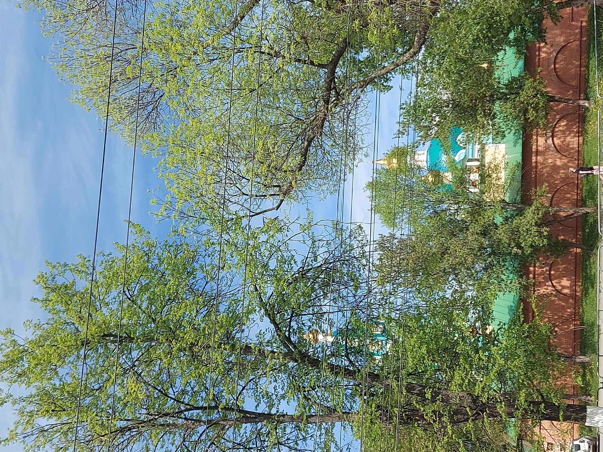 The image depicts a view of the Alexander Nevsky Cathedral in Izhevsk, Russia, partially obscured by trees. The cathedral's blue and white exterior and golden domes are visible amongst the foliage. A brick wall with semi-circular arched recesses is seen along the lower right portion of the image. A person is walking along the sidewalk next to the wall. Power lines run across the sky, adding to the urban scene. The sky is blue, and the leaves on the trees are green, suggesting it is spring or summer.