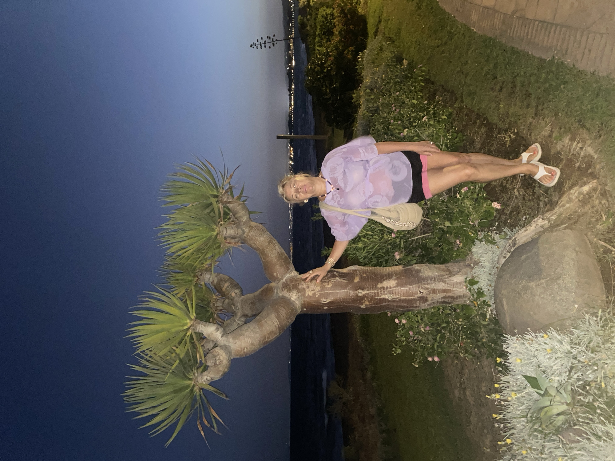 The image depicts a woman standing by a dragon tree near the coast. The sky is a deep blue, suggesting twilight or evening. The ocean is visible in the background, with lights of a distant city on the horizon. The woman is wearing a sheer purple top, black shorts, and pink trim. She has a straw bag slung over her shoulder. The vegetation in the foreground includes a dragon tree with a thick, gnarled trunk and spiky leaves, along with various shrubs and small pink flowers. A large rock sits near the base of the tree. A paved walkway is visible on the right side of the image. The location is the promenade in Estepona, Spain, a coastal town known for its vibrant floral displays and well-maintained public spaces.