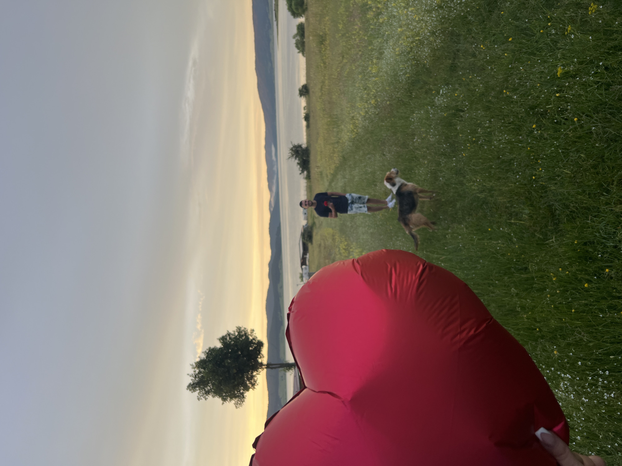 In the city of Batak, Bulgaria, at sunset, a person's hand holds a large red heart-shaped balloon in the foreground, obscuring a significant portion of the left side of the image. In the mid-ground, a man stands in a grassy field, holding a small red flower, with a medium-sized dog beside him. The field is dotted with small white and yellow flowers. In the background, a large body of water is visible, with a distant tree on the left and rolling hills under a hazy, orange-yellow sky.