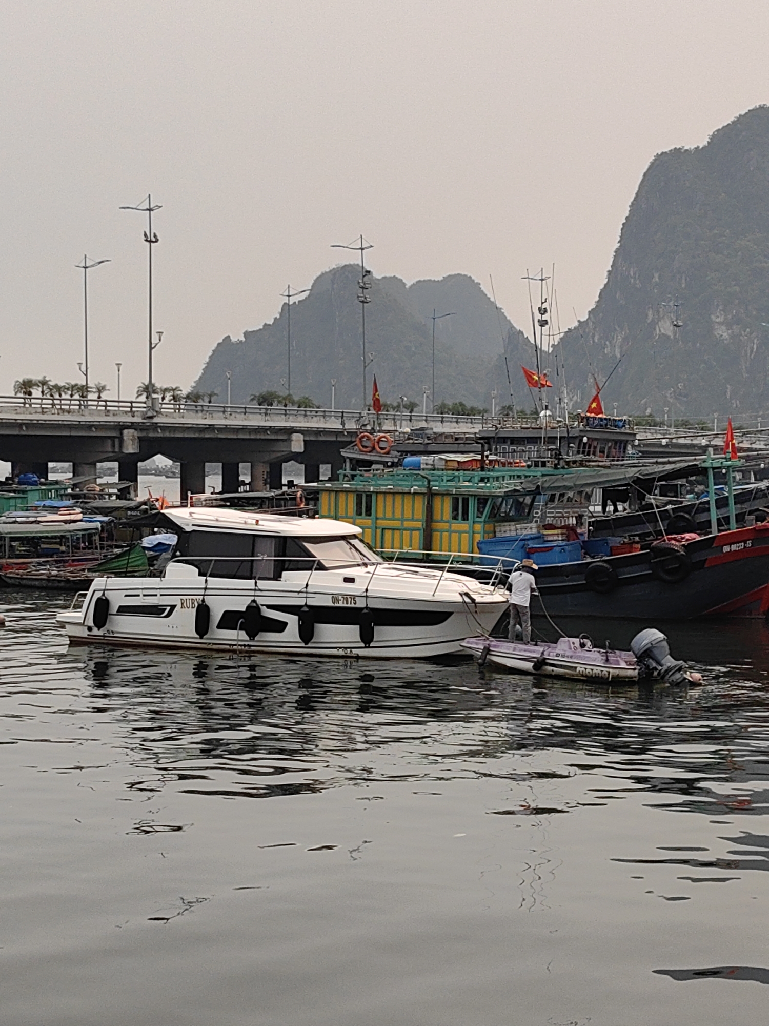 The image depicts a lively harbor scene in Hong Gai Ward, Vietnam, under an overcast and hazy sky. In the foreground, calm, reflective water shows ripples and reflections. A prominent white recreational yacht, named "RUBY" with the registration "QN-7075", is moored slightly left of center. To its right, a person wearing a straw hat and light-colored clothing stands in a small purple dinghy, marked "momo", seemingly adjusting ropes connected to the white yacht. The dinghy has an outboard motor.
Behind the yacht, a cluster of traditional Vietnamese fishing or cargo boats are docked, showcasing vibrant colors like red, yellow, green, and blue. Several of these larger vessels proudly display the Vietnamese flag, a red banner with a yellow star. One black fishing boat clearly shows the registration number "QU-90233-JS" on its stern.
In the midground, a substantial concrete bridge with multiple arched supports spans the water, carrying a road lined with lampposts and what appear to be palm trees. Beyond the bridge and boats, towering, verdant karst mountains rise majestically into the distant, hazy sky, their forms softened by the atmospheric conditions. The soft, diffused light suggests an overcast day, possibly early morning or late afternoon, with no harsh shadows. The scene captures a blend of modern and traditional maritime activity set against a distinctive Vietnamese landscape.