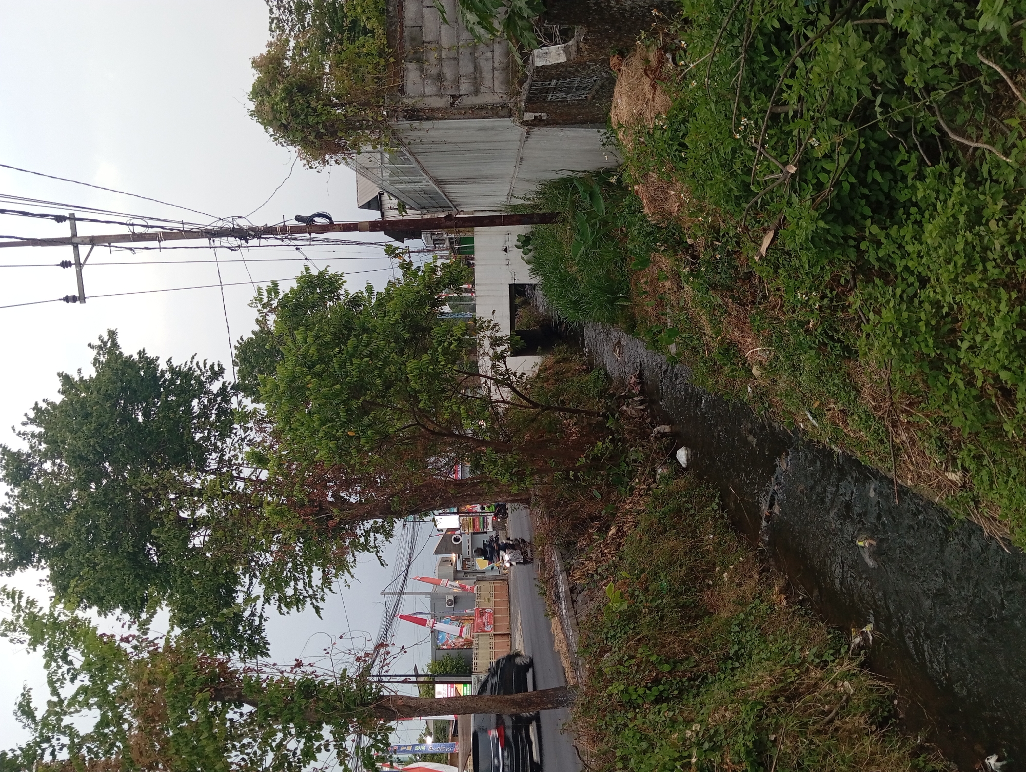The image captures a street scene in Kebon Waris, Indonesia, featuring a narrow canal running alongside a road. Trees with dense green foliage flank the canal, some with dried brown leaves. The canal itself is murky and appears to contain some debris, including plastic bags.
A paved road runs parallel to the canal, with a black car in motion on the left and a motorcycle with a rider approaching from the right. Banners and flags, some featuring red and white colors, are visible on the side of the road, suggesting a public or celebratory event. Electrical poles with numerous wires are prominent in the background.
Further down the road, a white pedestrian bridge spans the canal, leading to buildings on the other side. A concrete wall, part of a building structure, runs along the right side of the canal, with some areas showing exposed brickwork. The ground adjacent to the canal is covered in grass, dry leaves, and scattered vegetation. The sky above is overcast, with a hazy appearance. The overall impression is of a somewhat urbanized area with a blend of natural elements and man-made infrastructure.