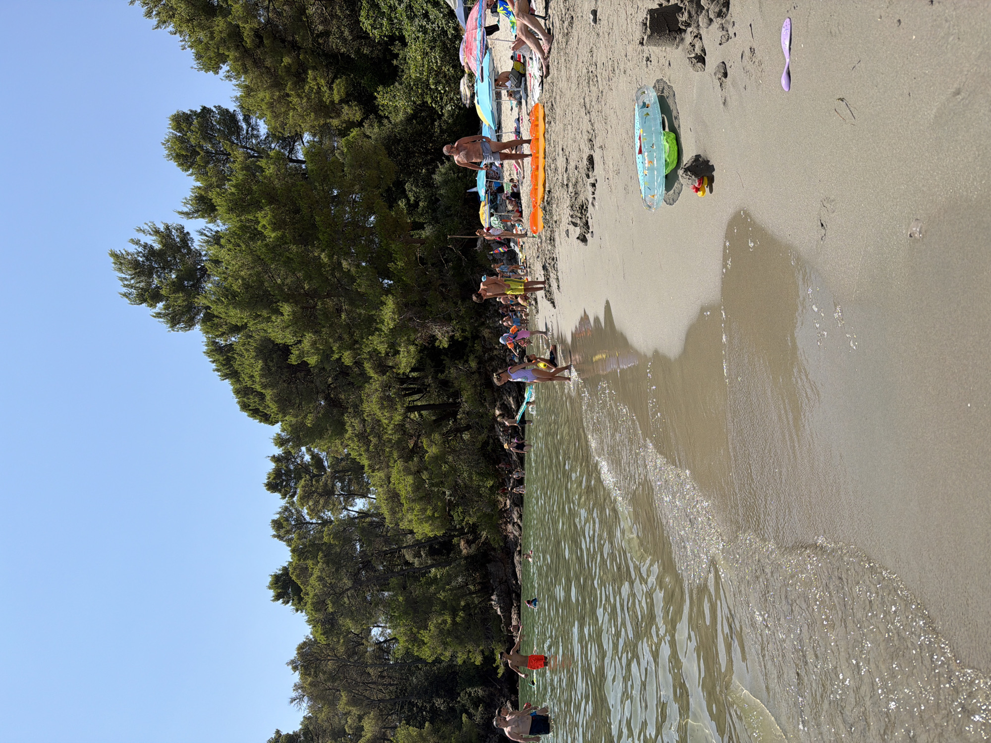 The image depicts a crowded beach scene in Bigova, Montenegro, under a clear blue sky. A treeline of dense green pine trees forms the backdrop. Numerous people are visible, with some wading in the shallow, clear green water and others relaxing on the sandy shore. Children are playing in the water, while adults are sunbathing or standing near the water's edge. Several beach umbrellas provide shade for some of the beachgoers. Beach toys, including an inflatable ring and a sandcastle, are scattered on the sand. The water is calm with gentle waves lapping at the shore. The overall atmosphere suggests a typical summer day at a popular tourist destination.