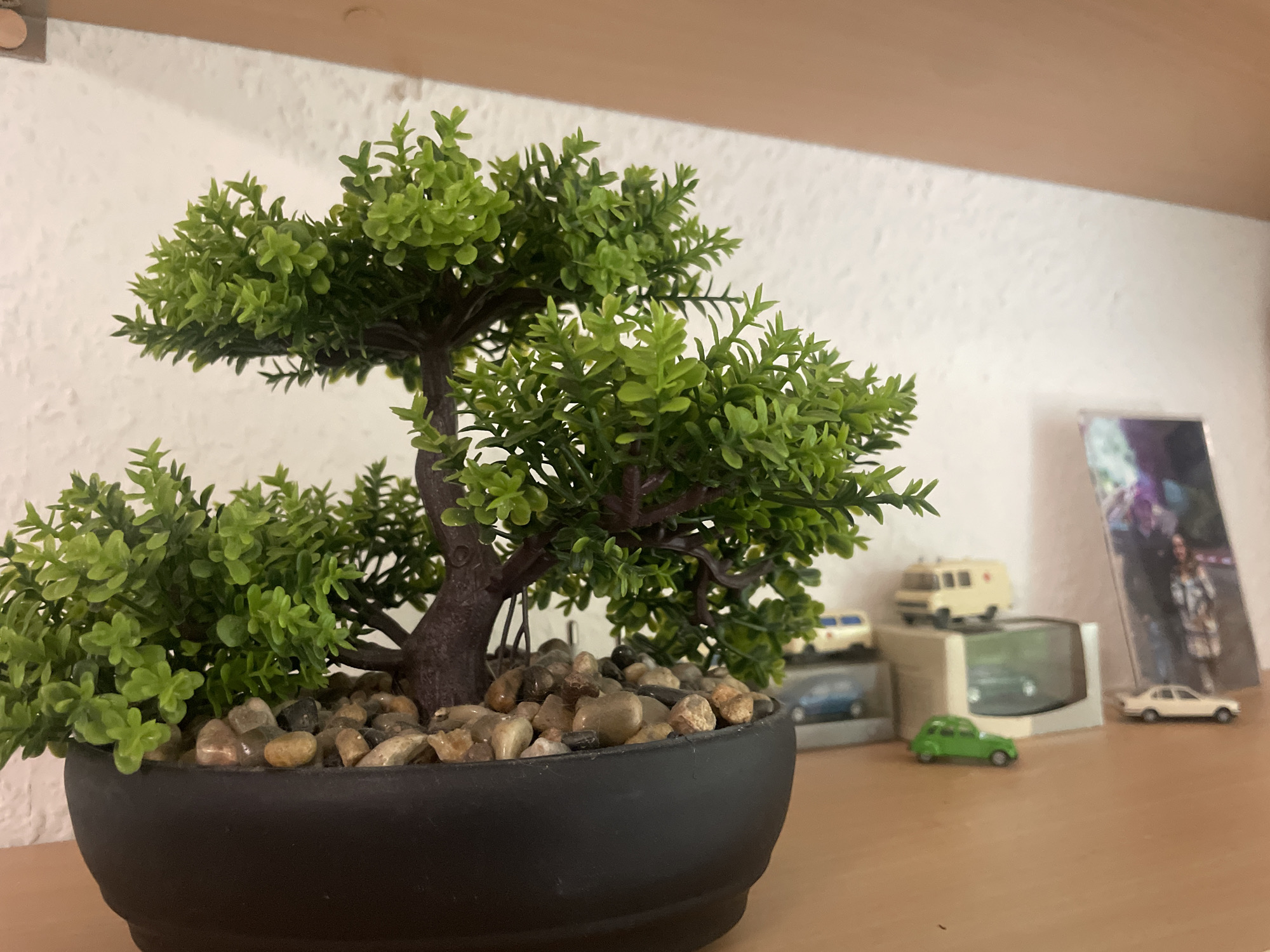 The image displays a small, artificial bonsai tree in a black pot filled with pebbles. Behind the bonsai, on a shelf, are several miniature toy vehicles: a white ambulance with a red cross, a blue car, a green car, and a white car. To the right of the toys is a framed photograph of a person. The background consists of a white, textured wall and a wooden shelf. The scene is indoors, likely on a desk or shelf. The image does not contain any information that would allow for its location to be identified as Iserlohn, Germany.
