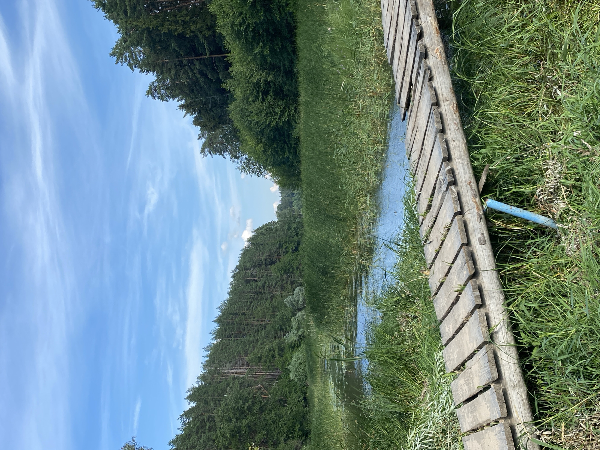A wooden footbridge crosses a narrow, calm body of water bordered by lush green reeds and tall trees under a bright blue sky with wispy clouds. The footbridge is constructed from weathered planks laid across a thick log, and a blue pipe is visible supporting one end. Dense forest lines the far bank of the water, with a variety of trees, including pines. The scene appears to be located in Yal'chik, Russia.