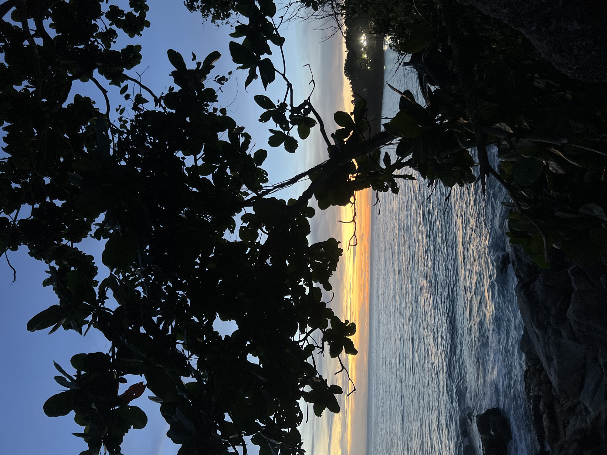 This is a photograph of a coastal scene at dusk, likely taken in Choeng Thale, Thailand. The foreground is dominated by the dark silhouettes of tree branches and leaves, obscuring parts of the view. Through the foliage, a body of water, presumably the Andaman Sea, is visible, with gentle waves lapping against a rocky shoreline. The water reflects the colors of the sky, which transitions from a deep blue at the top to hues of orange and yellow near the horizon, indicating the setting sun. In the distance, along the coastline, a few lights are visible, suggesting the presence of buildings or resorts. The overall atmosphere is serene and tranquil, characteristic of a tropical evening. There are no people or identifiable actions depicted in the image.