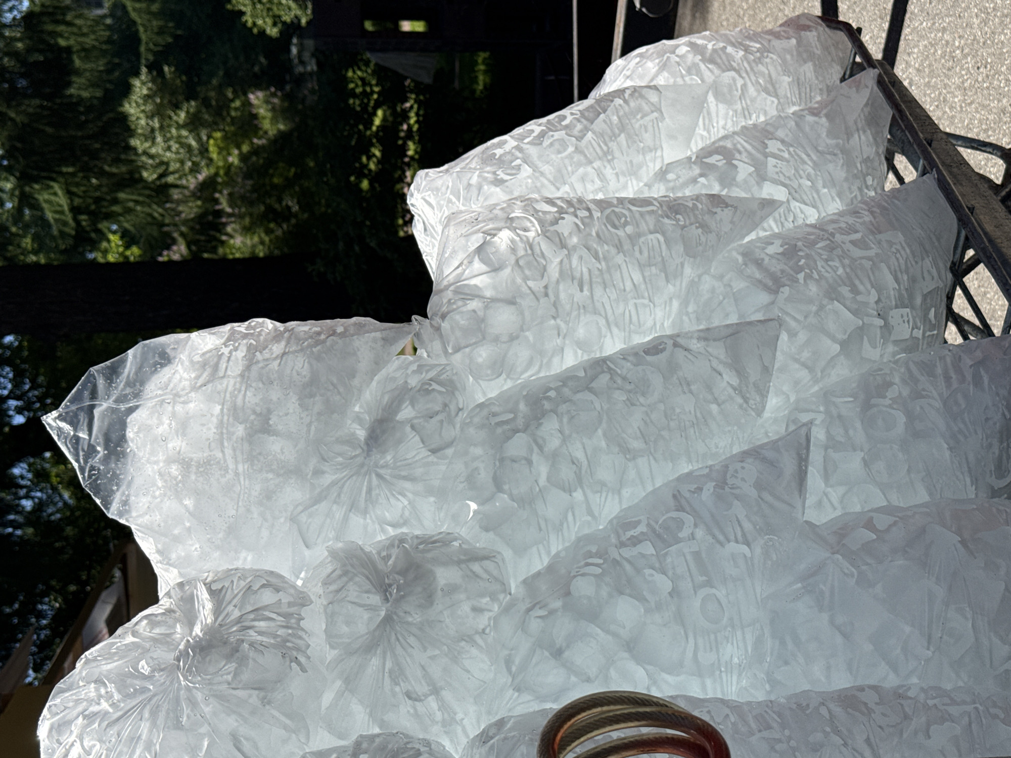 The image captures a static outdoor scene featuring a large stack of clear plastic bags filled with ice cubes. These translucent bags, appearing opaque white due to the ice and condensation, are piled on a dark-colored metal cart or rack. Many bags are tied at the top, creating gathered folds in the plastic, and show visible condensation droplets on their surfaces. A coiled object with metallic (possibly copper or bronze) and black banding is partially visible in the far left foreground. The background consists of dense green foliage from trees and bushes under bright sunlight, indicating a clear day. A light-colored structure is partially visible in the upper left background, and the ground beneath the cart is a light gray, textured surface, likely pavement. No individuals or specific actions are depicted in the scene. The setting is the city of Saint Petersburg, Russia.