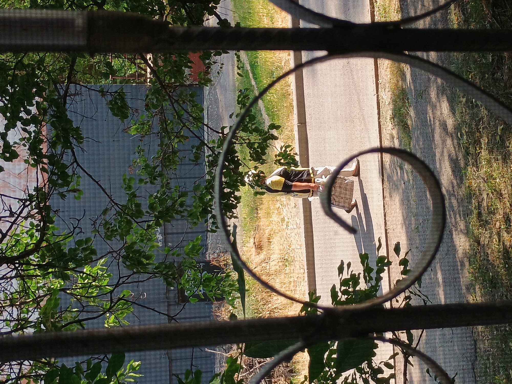 The image captures a scene through a metal grate or railing, with foliage obscuring parts of the view. The composition is oriented vertically, rotated 90 degrees counter-clockwise from a typical horizontal orientation. In the background, a person is visible walking on a paved path next to a grassy area. The person is wearing a black shirt with a yellow collar and a white helmet. They appear to be carrying a basket or container. The setting suggests an outdoor environment, possibly a park or residential area. The lighting indicates it is daytime, with shadows cast on the path, hinting at a sunny day. The presence of trees and greenery suggests a temperate season. The overall mood is candid and observational, as if captured from a window or balcony. There is no visible text in the image. The location context provided indicates Zaporizhzhia, Ukraine, which may inform the architectural or environmental elements, though these are not distinctly identifiable in this specific frame.