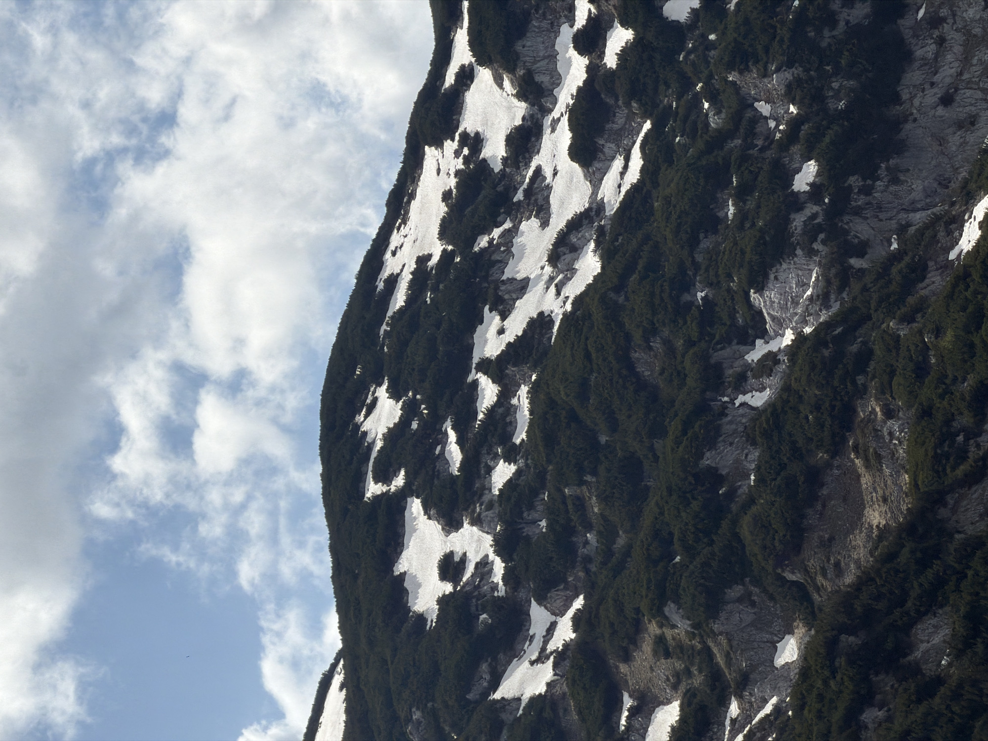 A mountain slope covered with dark green vegetation and patches of snow rises on the right side of the image. The rock face shows visible geological formations. To the left, a blue sky is visible with puffy white clouds scattered across the frame. The image appears to be taken during daytime. No people are visible. The location is likely within a mountainous region, possibly near Bosača, Montenegro, as specified. The orientation of the photograph is rotated counterclockwise by 90 degrees.