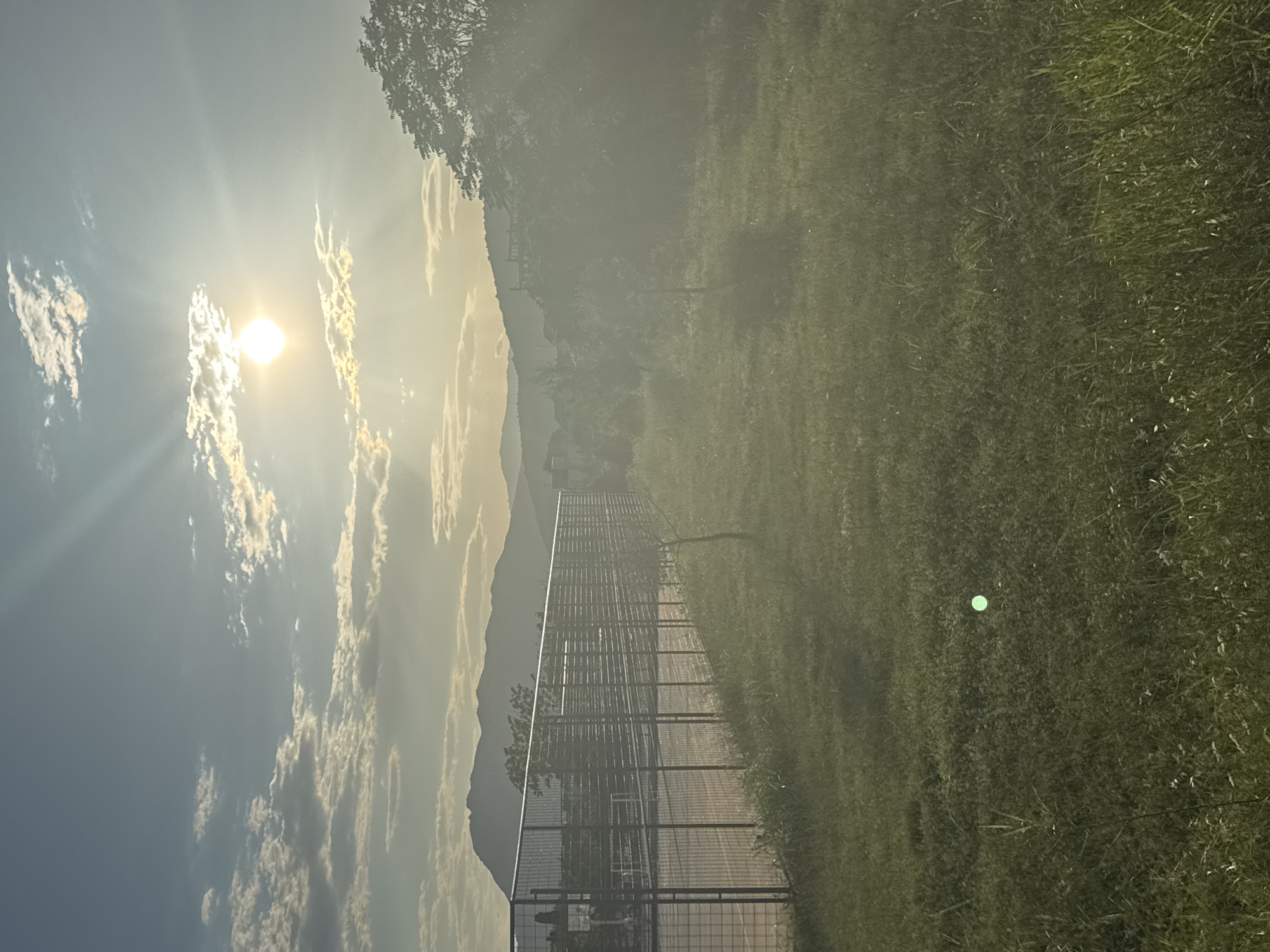 This is a sideways, full-shot photograph taken outdoors during the day. The sun is shining brightly, casting rays and illuminating the sky with a soft, golden light. Clouds are scattered across the sky, some appearing thin and wispy, while others are more dense and illuminated by the sun. A line of trees is visible in the upper right portion of the image. In the middle ground, a long, tall fence made of metal bars runs horizontally across the frame, separating a grassy area from what appears to be a paved or dirt path. The grass is green and slightly unkempt, with some lighter-colored patches scattered throughout. In the background, mountains are silhouetted against the bright sky, suggesting a mountainous or hilly region. There is a hazy or misty quality to the air, particularly in the mid-ground and background, which could indicate atmospheric conditions or a slight blur from the camera. A bright, circular green light hovers in the grass to the right of the fence. No people are visible in the frame, and there is no discernible text. The overall impression is one of a natural landscape bathed in the warm light of the sun, with a man-made structure, the fence, dividing the scene. The time of day appears to be either early morning or late afternoon, given the low angle of the sun and the warm light.