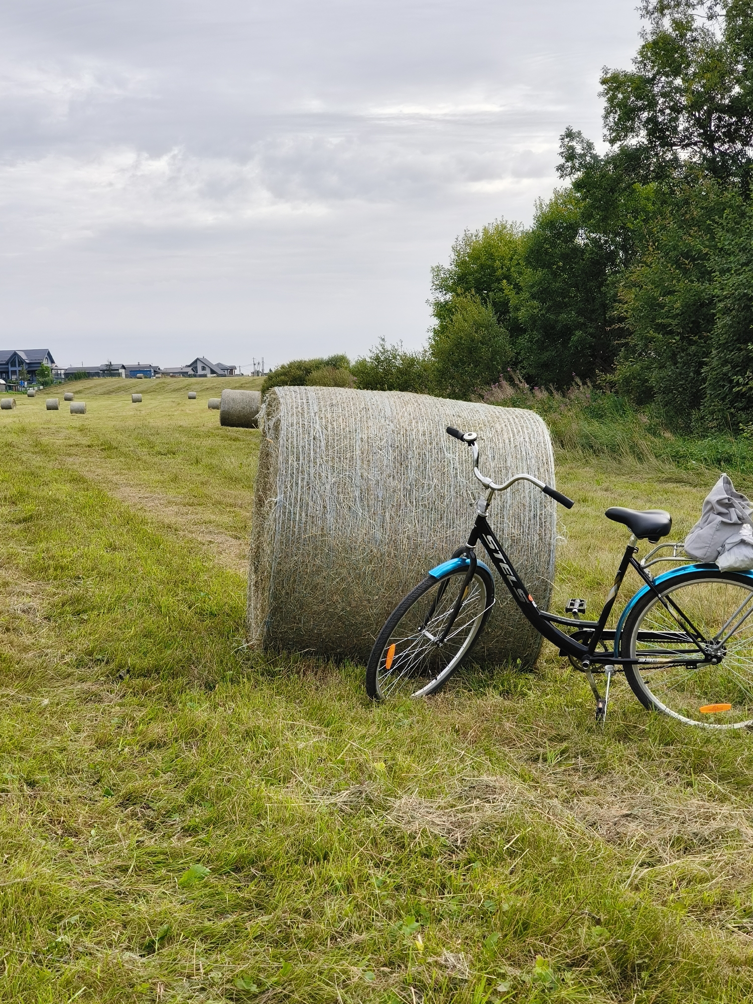 In a grassy field, a black bicycle with blue accents is parked next to a large, tightly wrapped bale of hay. The bicycle has a basket on the rear rack containing a light gray bag. In the background, more hay bales are scattered across the field, and a line of trees borders the far edge. Several houses are visible on a slight incline in the distance. The sky is overcast with light gray clouds. The location is Khittolovo, Russia.