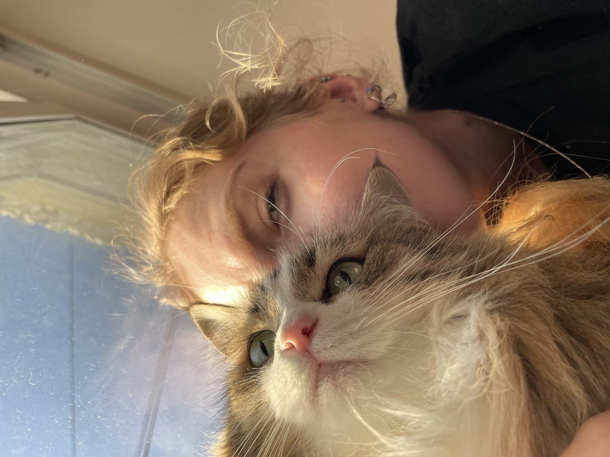 A low-angle shot shows a person and a cat close to a window. The person, with blonde hair, fair skin, and visible ear piercings, is positioned behind the cat. The cat, a fluffy brown and white tabby with green eyes and a pink nose, is the prominent subject. The background includes a window with visible light. The city of Izhevsk, Russia, cannot be determined from the visual information.