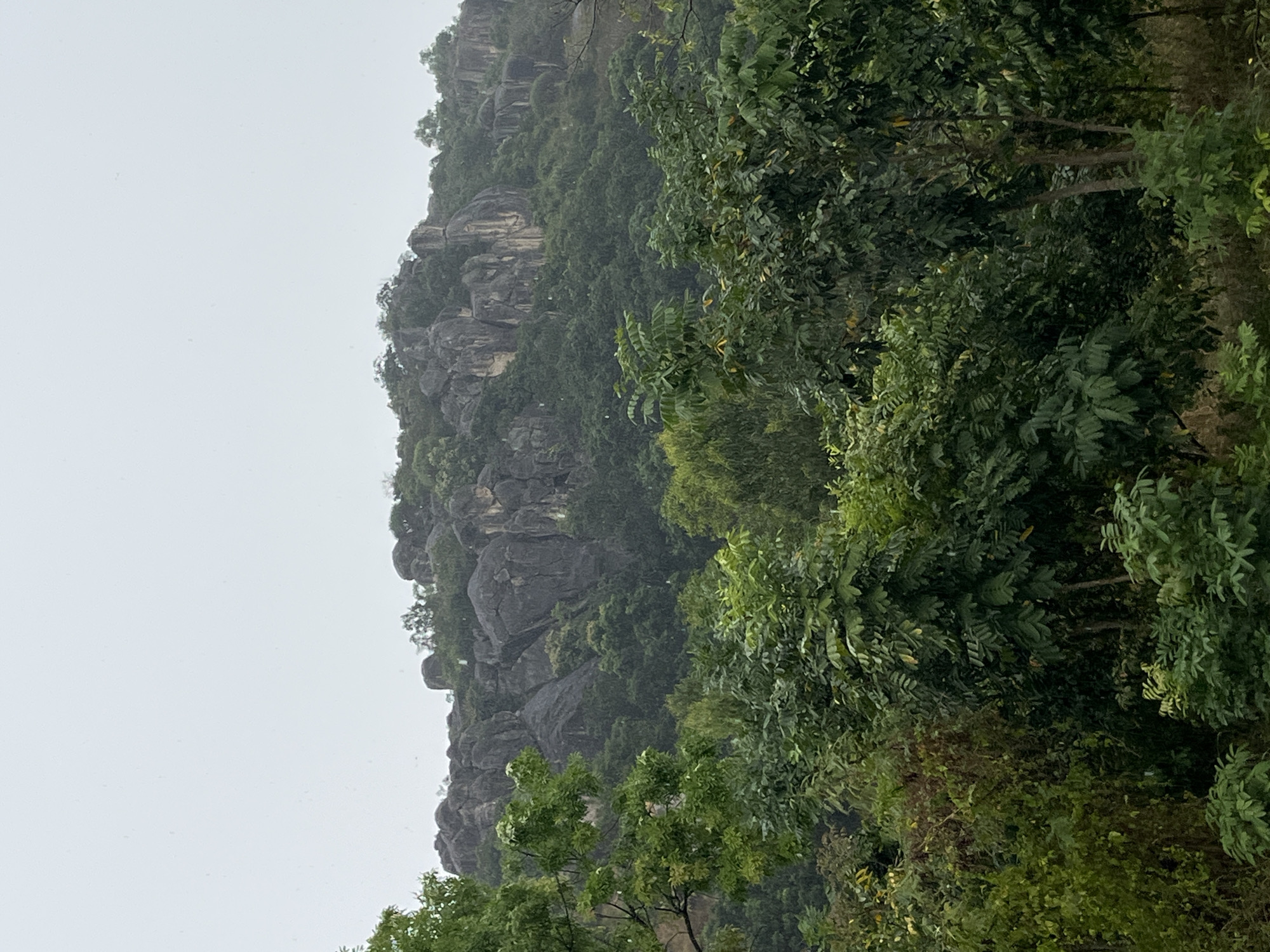 The image depicts a lush, green landscape in Bac Nha Trang Ward, Vietnam. A rocky hill or mountain rises from the scene, partially obscured by dense vegetation. The hill is covered in a mix of trees and exposed rock formations, creating a rugged terrain. The sky is overcast, casting a soft, diffused light over the environment. In the foreground, a mass of trees and shrubs fills the frame, adding depth to the scene. There are no visible people, animals, or signs of human activity other than the possible presence of roads on the hill.