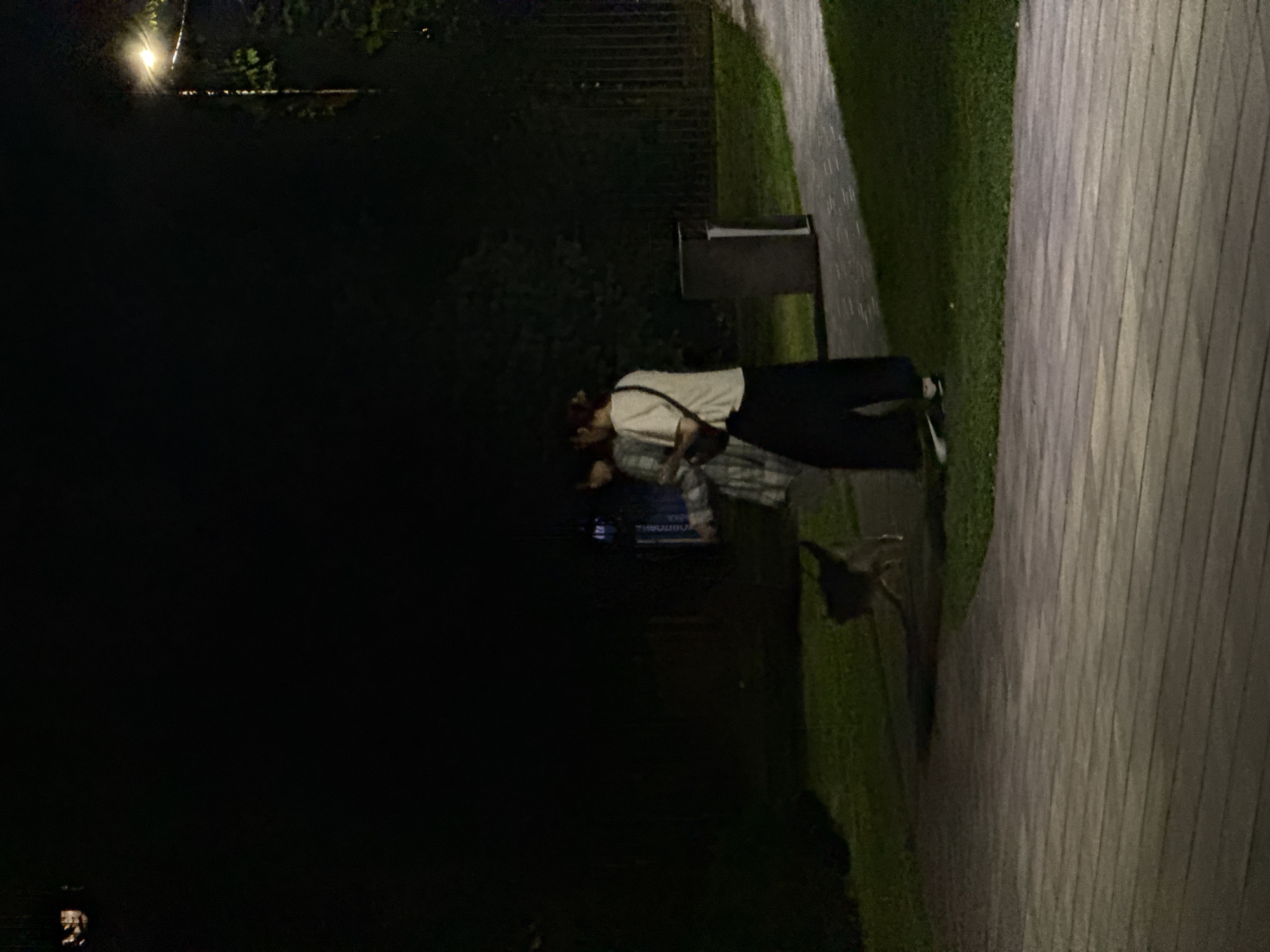 In the city of Dnipro, Ukraine, a nighttime scene unfolds in a park. Two individuals, appearing to be young women, walk along a paved pathway. One is wearing a light-colored t-shirt and dark pants, with a small dark bag slung across her shoulder. The other is dressed in a plaid shirt. A small dog is seen on the grass to their left, slightly in front of them. The environment features a well-maintained lawn, a paved path with wooden elements, a trash receptacle, and trees in the background. A lamppost is visible, casting a warm light, and a metal fence line runs along the edge of the park. The overall ambiance is that of a peaceful evening in an urban green space.