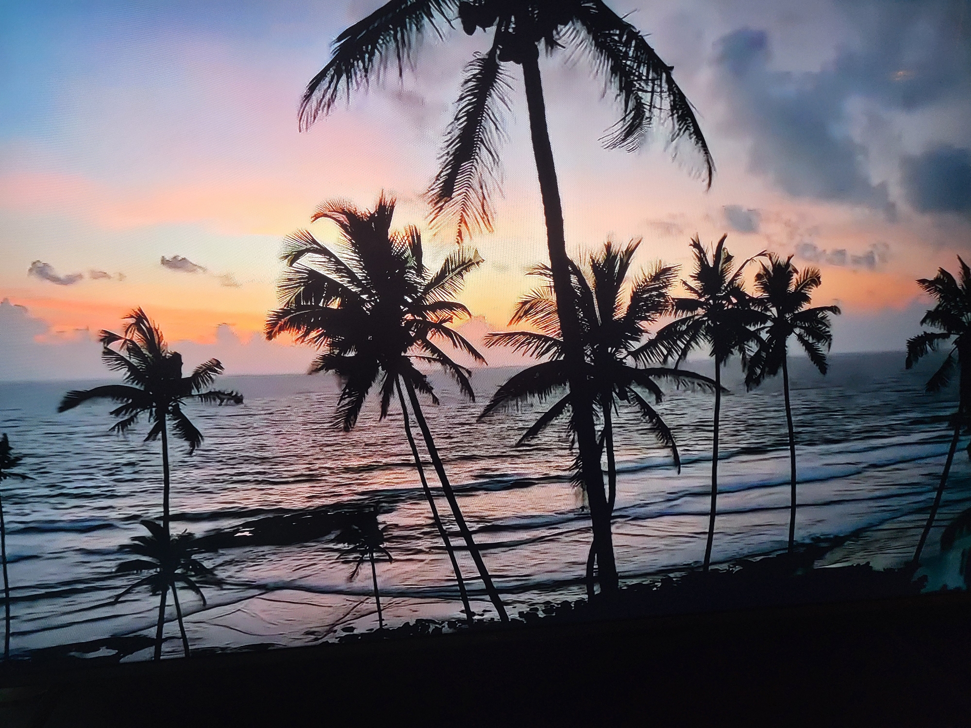 The image depicts a silhouetted tropical beach scene at sunset or sunrise. Numerous palm trees are visible in the foreground, their fronds and trunks outlined against a colorful sky that transitions from soft blues and pinks near the horizon to darker blues and grays towards the top. The ocean in the background shows gentle waves, with the water reflecting the warm hues of the sky. The lighting suggests the end of the day or the beginning of the morning. There are no people or specific landmarks visible in the image. The location is a beach with palm trees. This scene is not related to Sofia, Bulgaria.