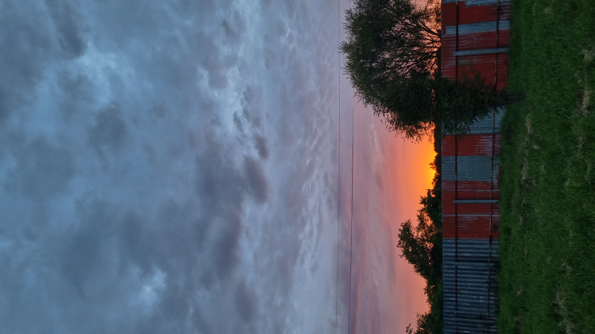 This is a vertical, medium-distance, eye-level shot of a sunset scene behind a corrugated metal fence. The sky is filled with dramatic, dark gray clouds. A band of vibrant orange and pink light from the setting sun is visible just above the tree line, creating a stark contrast with the darker clouds. A row of trees with dark green foliage can be seen behind the fence. The fence itself is made of corrugated metal sheets, alternating between a dull gray and a faded reddish-orange color. In the foreground, a patch of green grass covers the ground. Three thin, horizontal power lines stretch across the frame just below the sunset. The scene appears to be located in a rural or semi-rural area, possibly on the outskirts of Vysokoe, Russia, given the presence of the fence and the open sky. There are no people or animals visible in the image.