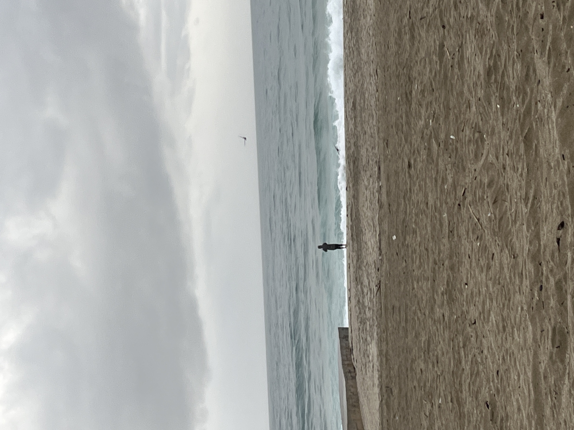 The image shows a beach scene in Alanya, Turkey on an overcast day. A solitary figure stands on the sand near the waterline, looking out at the ocean. The beach is sandy and stretches to the right of the frame. The ocean is a greyish-blue, with small waves breaking on the shore. The sky is covered with grey clouds. A bird flies above the water.
