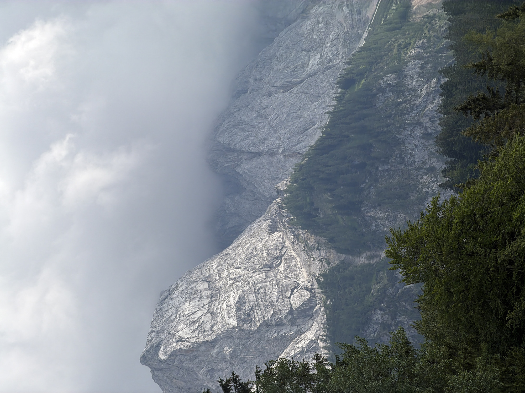 The image depicts a dramatic mountainous landscape in Grainau, Germany. The primary subjects are a towering, rugged rock face and the surrounding vegetation, shrouded in atmospheric mist. The rock face is predominantly grey and shows distinct striations and textures, suggesting geological history. Clinging to the steeper parts of the mountain are dark green coniferous trees, creating a stark contrast with the pale rock. In the foreground, the tops of deciduous trees with dense green foliage are visible, framing the lower part of the scene.
The weather appears to be overcast, with significant fog or cloud cover obscuring parts of the mountain and filling the left side of the frame. This creates a sense of depth and mystery, with elements fading into the mist. The lighting is diffused, typical of a cloudy day, with no harsh shadows. The time of day is not clearly indicated, but the general brightness suggests daylight.
The scene evokes a feeling of awe and perhaps a touch of isolation due to the vastness of the mountains and the enveloping mist. The overall impression is one of wild, untamed nature. There is no visible text or human activity in the image. The focus is purely on the natural grandeur of the alpine environment.