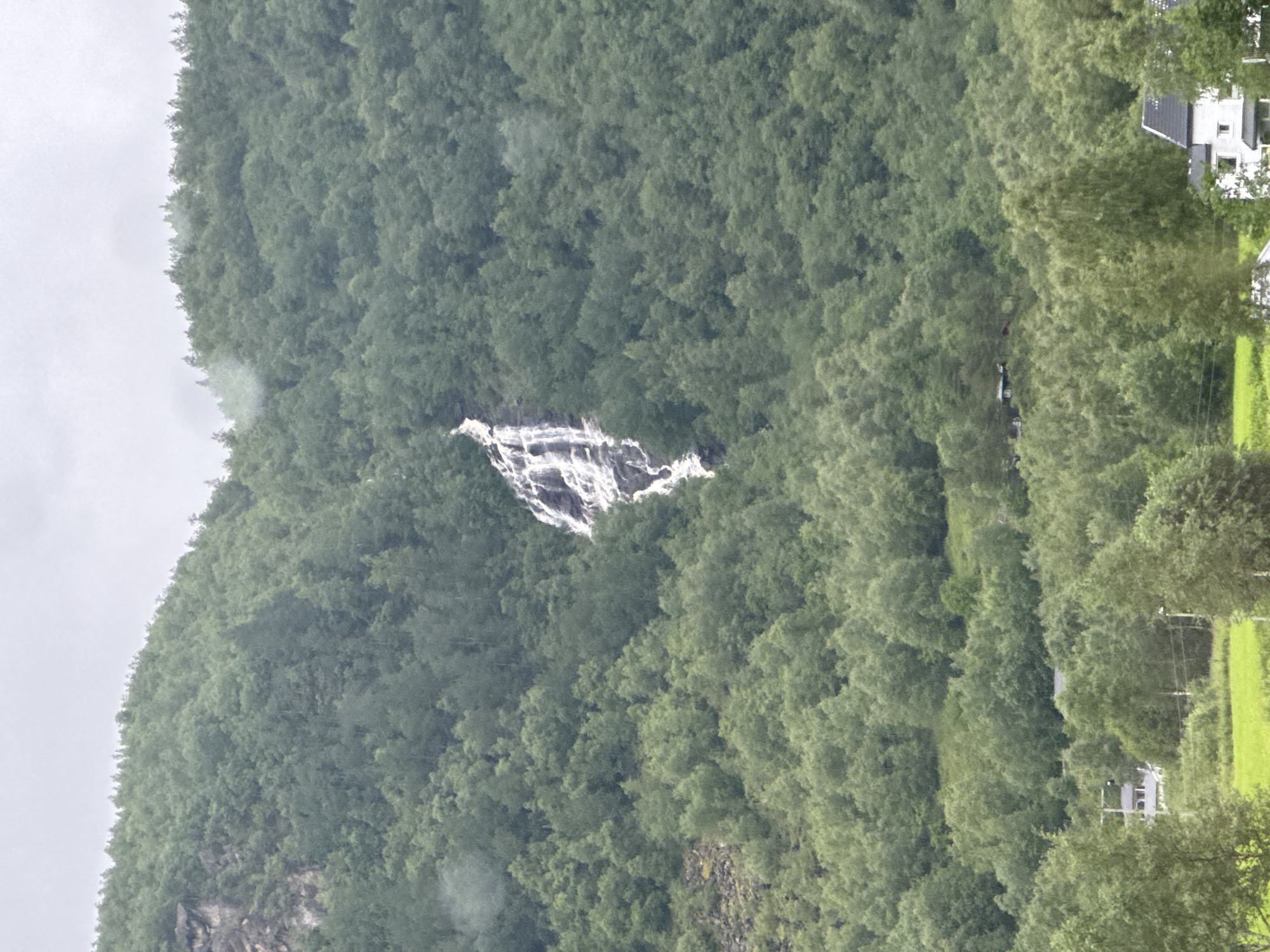This is a vertical, medium-distance, eye-level shot of a forested mountain slope with a waterfall. The mountain is covered in dense, green deciduous trees, with a few patches of exposed rock. A narrow, white waterfall cascades down the dark rock face in the upper center of the image. In the foreground, there is a grassy field with a few scattered trees. In the lower right corner, there is a small, white house with a dark roof. The sky is overcast and gray. The image depicts a natural landscape likely in or around Bodø, Norway, characterized by its lush vegetation and mountainous terrain. There are no people visible in the image.