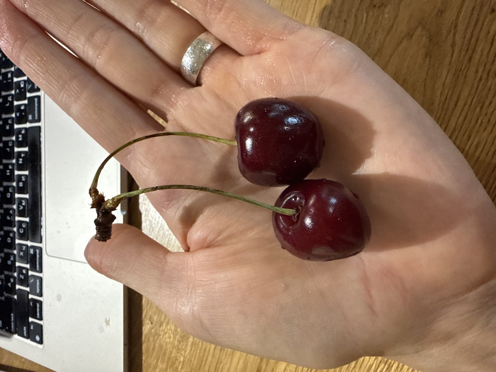 A person's hand, with a silver ring on their right ring finger, holds two dark red cherries. The cherries are wet and have stems attached. In the background, a portion of a laptop keyboard is visible, with the keys showing some lettering. The hand is resting on a wooden surface, likely a table, and there is a hint of a wooden desk in the background as well. The scene appears to be indoors. The image does not provide any information that allows for a specific location in Chaikovsky, Russia.