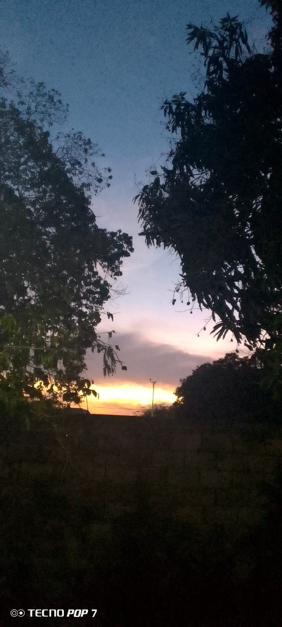 The image captures a landscape in Altagracia, Venezuela, during dusk or dawn. The sky transitions from a deep blue at the top to a hazy pink and orange near the horizon. Silhouetted trees frame the scene on either side, obscuring the lower portion of the image. A utility pole is vaguely visible against the horizon. The foreground appears to be a field or uncultivated land. A "TECNO POP 7" watermark is present in the bottom left corner of the image.