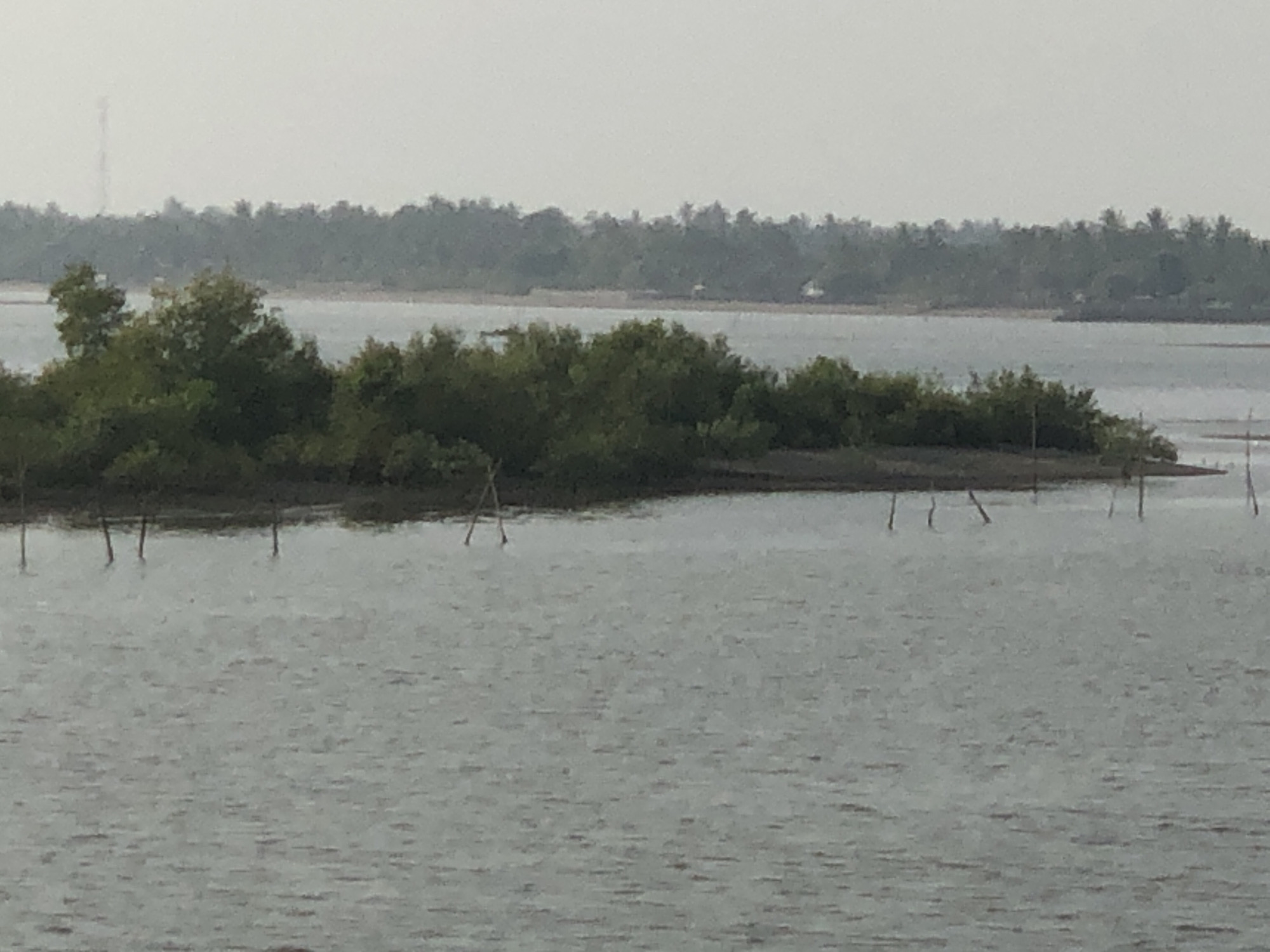This is a photograph of a body of water with a small, tree-covered island in the middle ground. The water is calm and reflects the overcast sky. The island is densely vegetated with green trees, some of which appear to be mangroves. There are several wooden posts sticking out of the water around the island, suggesting a man-made structure or aquaculture. In the background, a treeline stretches across the horizon, obscuring any distant buildings. A faint, tall structure, possibly a communications tower, is visible on the far left of the background treeline. The sky is a hazy, pale gray, indicating either early morning, late evening, or a cloudy day. The image appears to have been taken from a slightly elevated position looking across the water towards the island and the distant shore.