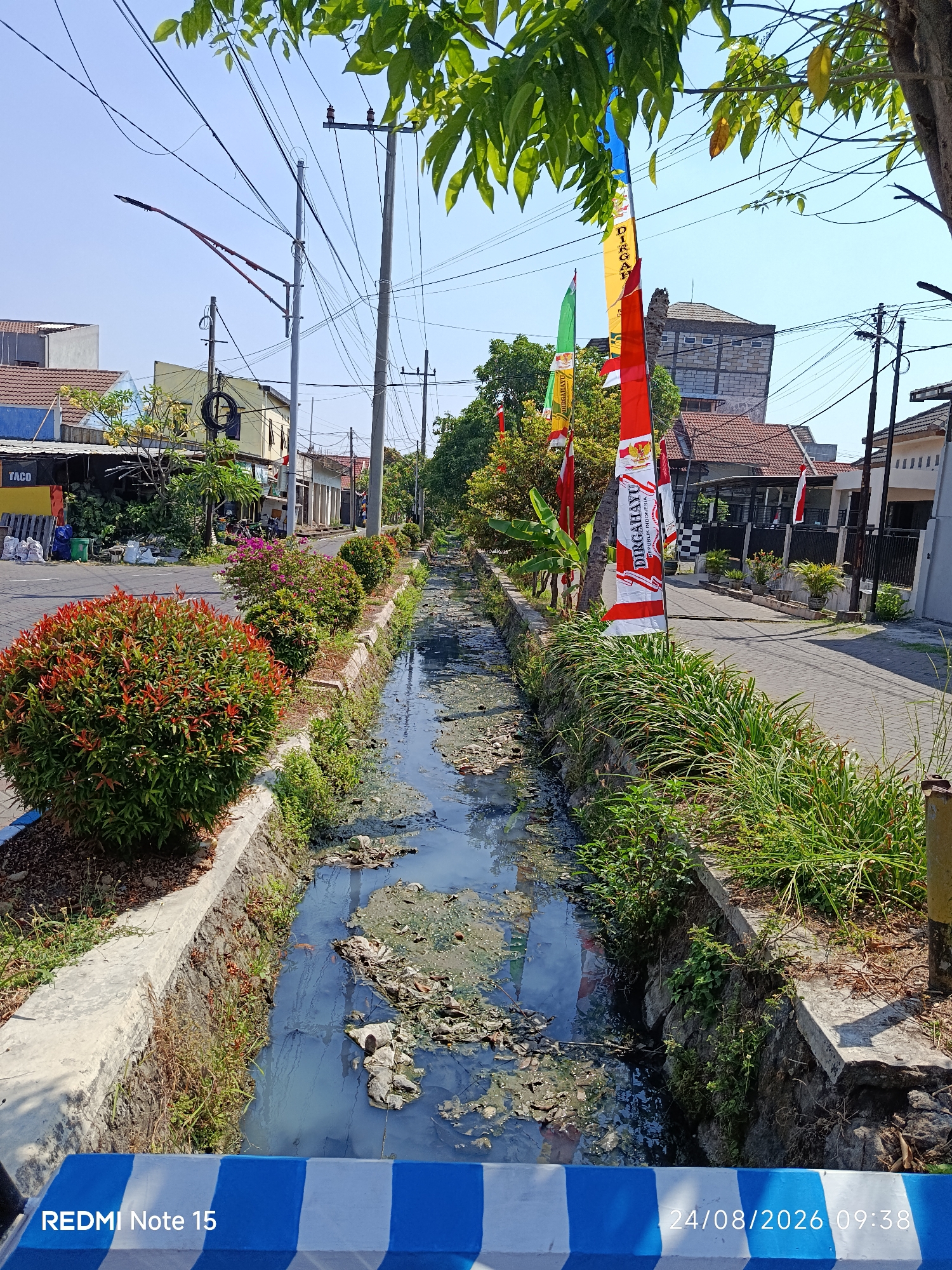 The image shows a canal filled with stagnant, dirty water and floating debris. The canal is lined with concrete and overgrown with grass and some bushy plants. Red-leafed shrubs are planted along the bank. On the street beside the canal, there are several decorative flags, some with red and white patterns and text that appears to be in Indonesian. Buildings line the street, with one appearing to be a commercial establishment with signage that reads "TACO". Overhead, electrical wires and a street lamp are visible. The sky is clear and blue. A time stamp "24/08/2026 09:38" and "REDMI Note 15" are overlaid on the bottom of the image. The scene appears to be a street in a residential or commercial area within Keboananom, Indonesia.