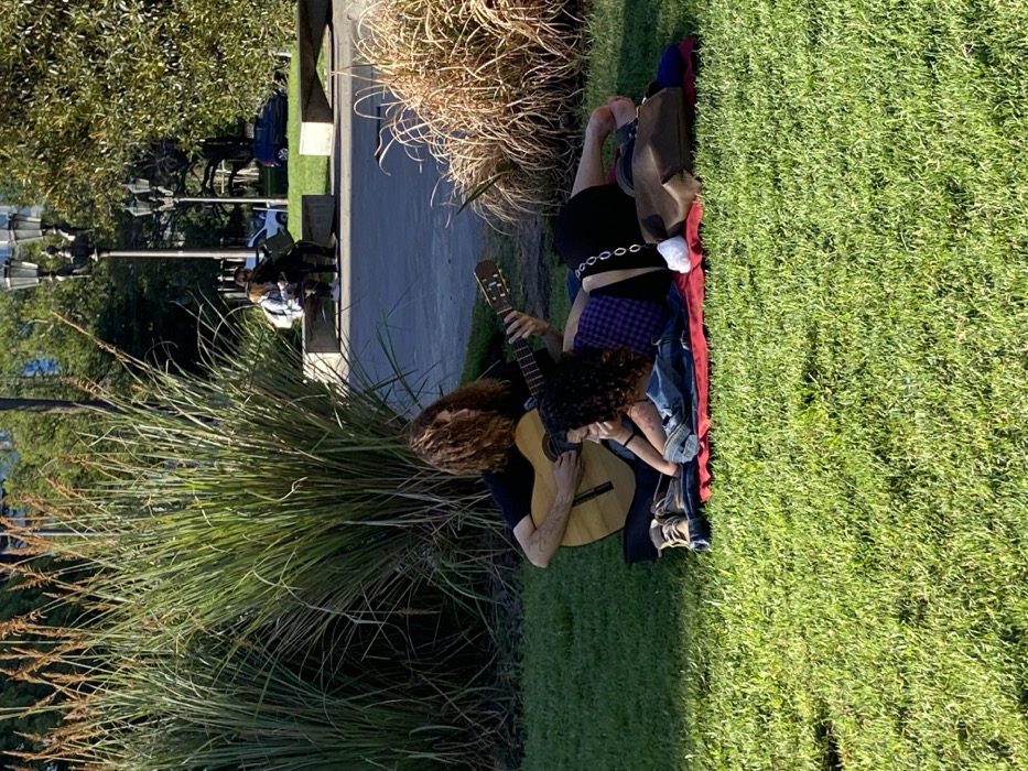 A woman and a man are seated on a blanket in a grassy park, with the man holding a guitar. The woman, dressed in a plaid shirt and shorts, is facing him. The man, with long curly hair, is playing the guitar. In the background, there are other people seated on benches along a paved path. There are several tall grasses visible in the foreground.