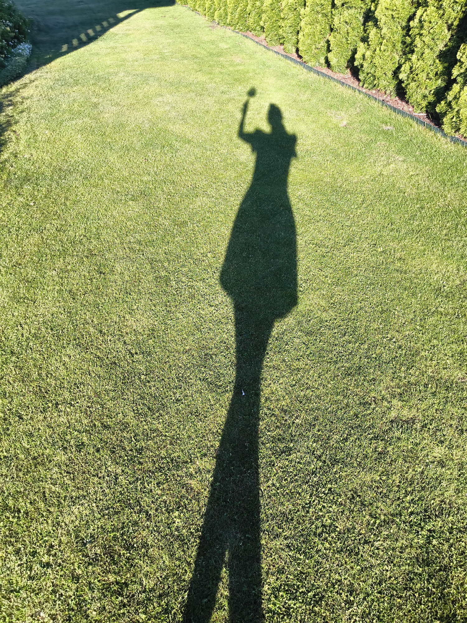 A vertical, full shot shows a shadow cast on a lawn of green grass next to a hedge in Unknown, Unknown. The shadow appears to be of a person wearing a dress, and the shadow has one arm raised above the head. The grass is neatly cut and even in height. The hedge runs along the right side of the frame, with a thin black border visible between the grass and the hedge. The ground appears slightly uneven, with variations in sunlight across the area.