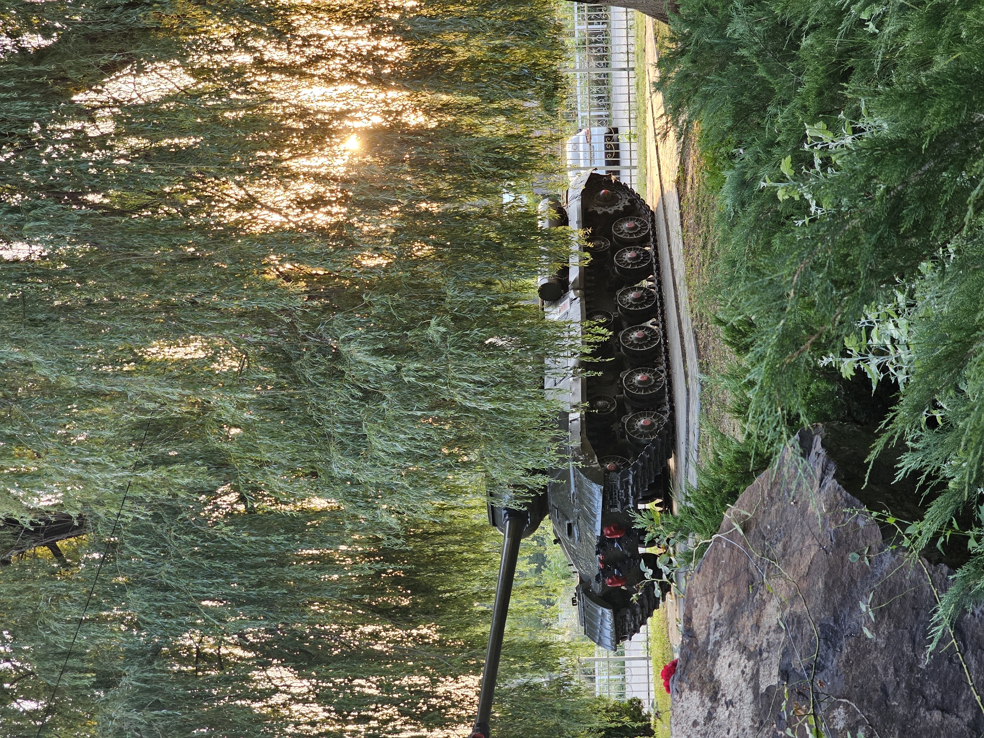 The image depicts a military tank on display, partially obscured by the weeping branches of a large tree. The sun is setting, casting warm light through the foliage and onto the tank. The tank is dark green and appears to be a static display, with its tracks visible on a paved surface. A low metal fence runs along the background, behind which is a white car. In the foreground, a large, dark rock sits beside lush green bushes. A single red rose is placed on the rock. The scene suggests a memorial or a park setting. This memorial is located in Cherkessk, Russia, specifically at the memorial complex "The Eternal Flame" on Victory Street.