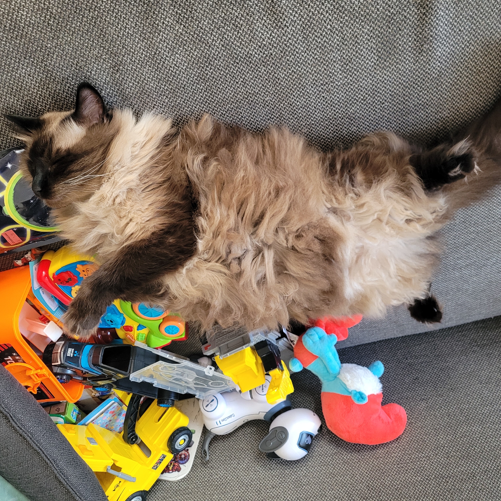 A fluffy, long-haired cat with brown and cream coloring is lying on its back on a grey textured couch, surrounded by a collection of children's toys. The cat appears to be sleeping or resting. The toys include a red and blue Smurf plush toy, a white robotic dog toy, a yellow toy construction vehicle, a green and orange toy with colorful buttons, and other plastic toy vehicles and containers. The scene is indoors, on a couch, with no indication of the city of Jūrmala, Latvia, or any specific outdoor environment.