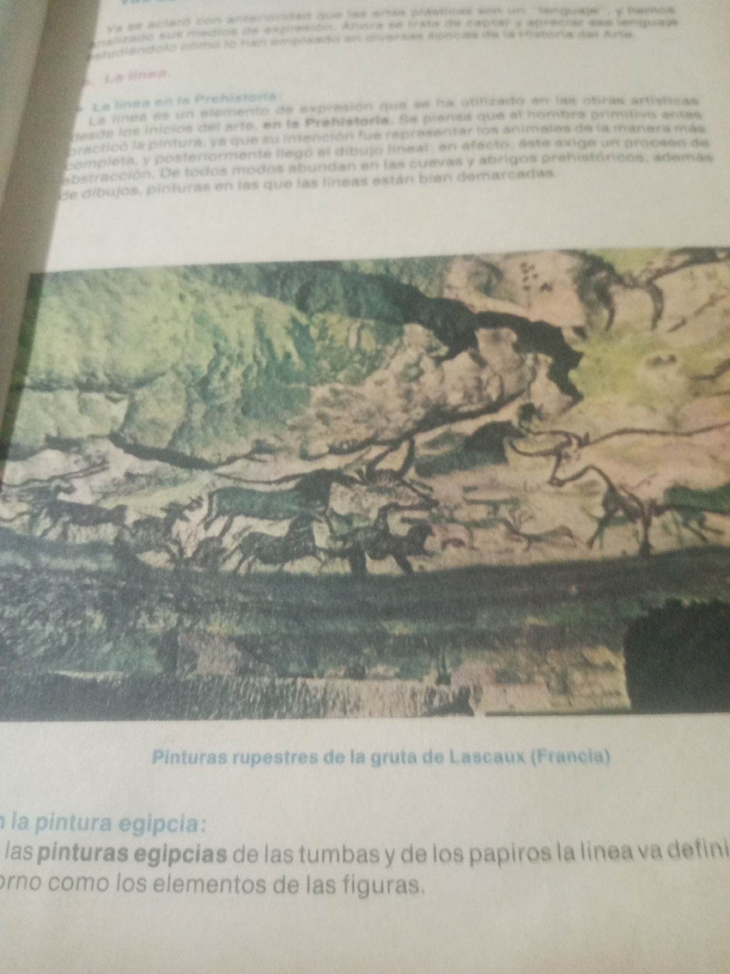 The image shows a book with text and a picture. The text discusses the use of lines in art, mentioning prehistoric art and Egyptian painting. The picture is a reproduction of cave paintings, likely from Lascaux, France, depicting animals. The image does not contain any information about Santa Ana, Venezuela.