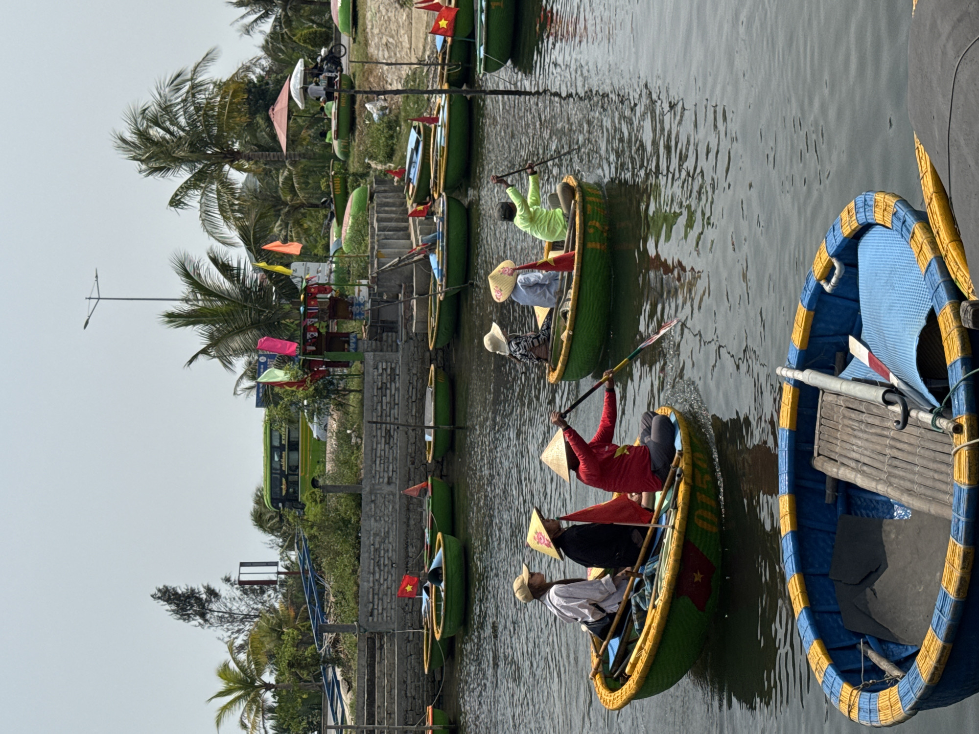This image captures a vibrant scene of traditional Vietnamese basket boats (thung chai) on a waterway, likely in the Da Nang region of Vietnam. The scene is set during bright daylight under a clear, possibly slightly overcast, sky.
Numerous circular or oval-shaped boats, predominantly green with yellow trim, are visible on the water. Many of these boats feature a red flag with a yellow star, resembling the Vietnamese national flag, and one green boat clearly displays the number "0150". In the foreground, a distinct blue and yellow basket boat is partially visible.
Several individuals are seated in these boats, paddling along the waterway. Many are wearing traditional Vietnamese conical straw hats (nón lá). One person in a red shirt and a nón lá actively paddles a green boat. Another in a light green shirt and a dark cap is also paddling, further back. The overall activity suggests a leisurely tour or cultural experience for visitors.
The banks of the waterway are lined with lush green vegetation, including tall palm trees. On the left bank, a series of stone steps leads down to the water, and parts of a grey wall structure are visible. There are also various colorful flags (pink, yellow, blue) adorning the banks, alongside small Vietnamese flags. A white umbrella is open on the left bank, offering shade. In the background, a green bus and a motorcycle are partially visible amidst the foliage, indicating proximity to a road or populated area. The water's surface shows gentle ripples, reflecting the surrounding light.