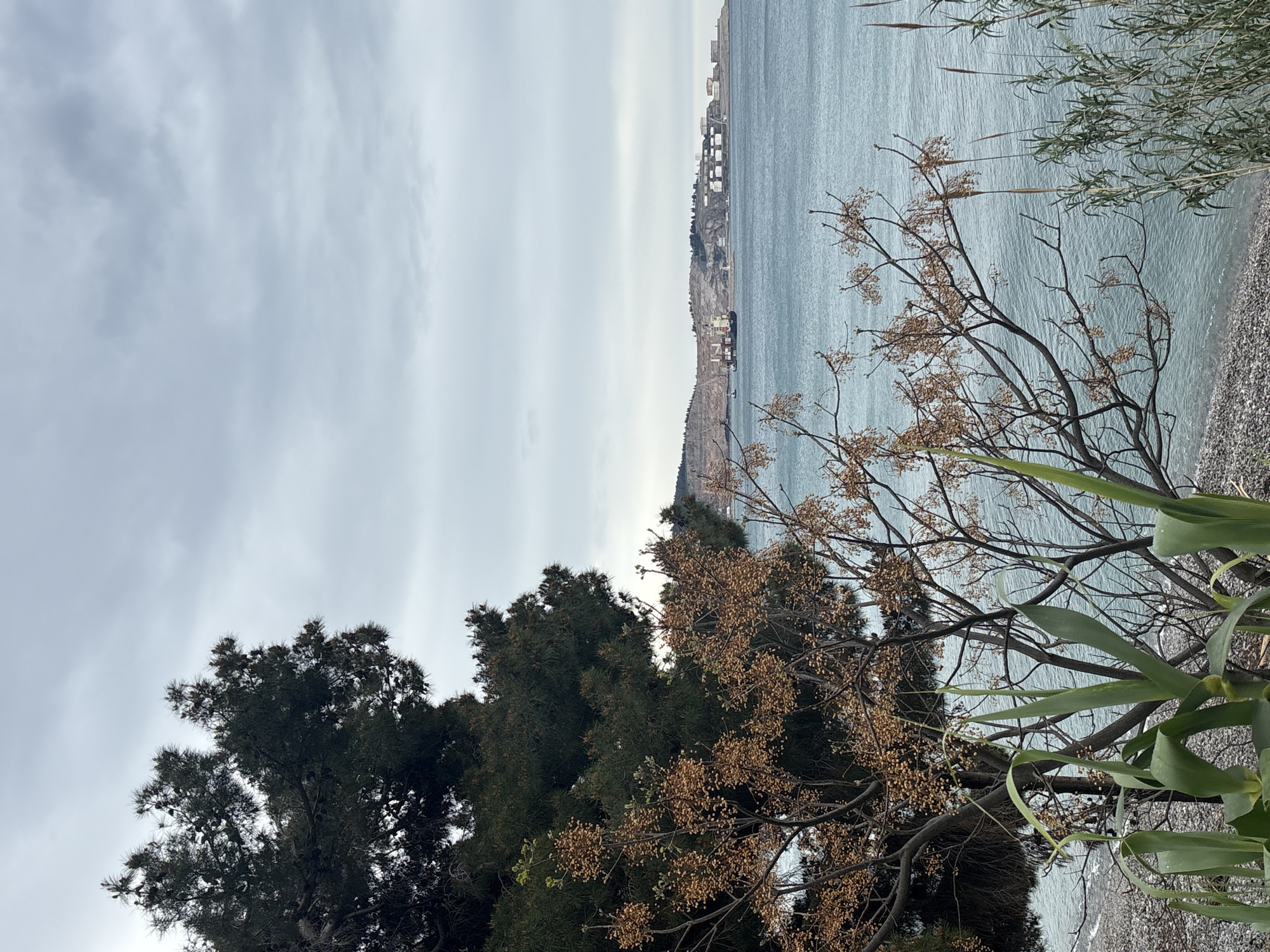 View of a coastline and cityscape on a cloudy day, observed from an elevated position. In the foreground, trees with bare branches and some dried vegetation obscure part of the scene. The background consists of the sea and a coastal city with various buildings visible along the shoreline. The sky is overcast with heavy cloud cover. The location is Bar, Montenegro.