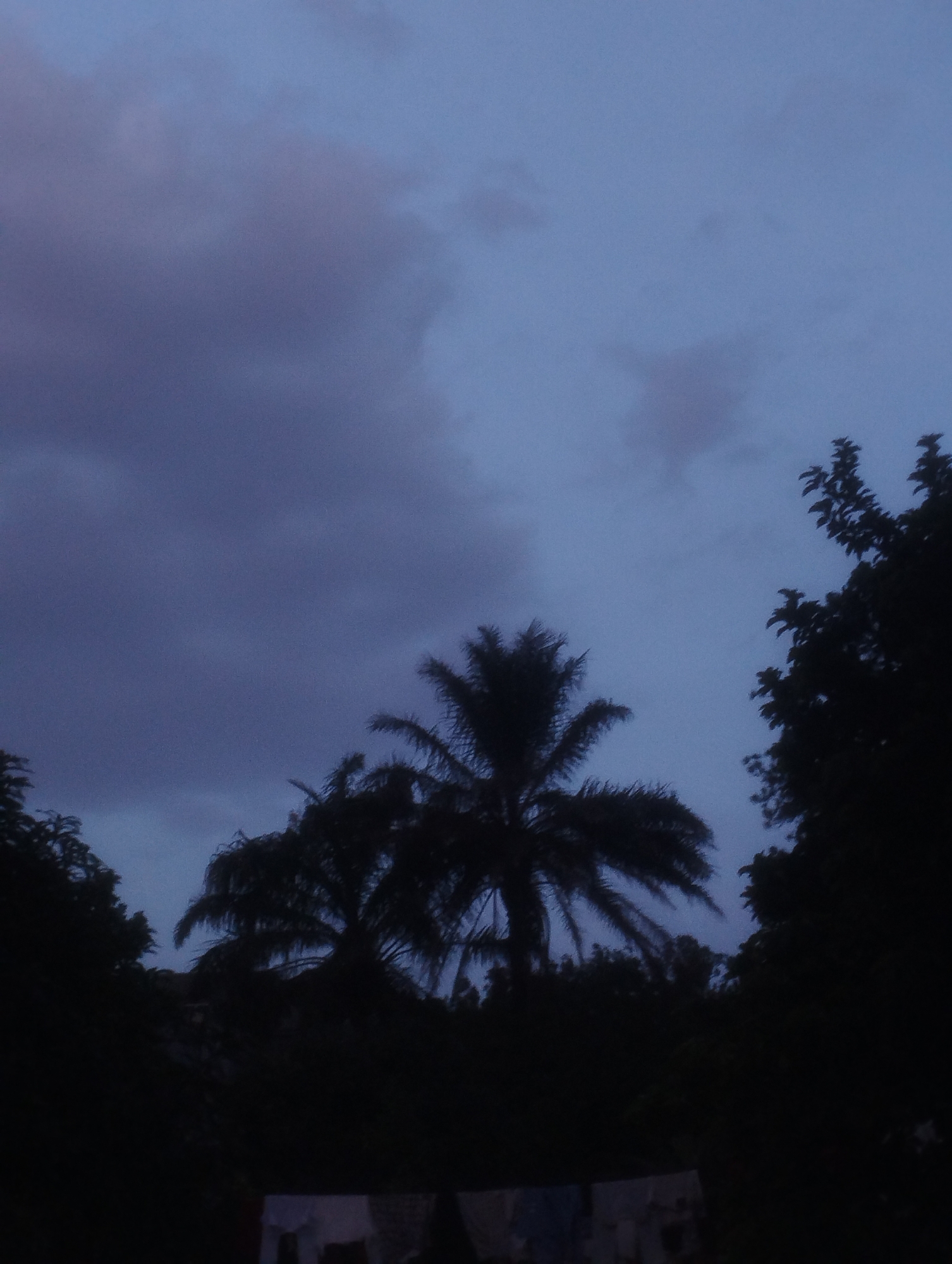 The image depicts a twilight scene in a residential area of Jos, Nigeria. The sky is a deep indigo, transitioning to a lighter blue at the horizon, with heavy, dark clouds obscuring much of the sky. Silhouetted against the sky are the fronds of a palm tree in the center, with other trees on either side framing the view. The lower portion of the image is dominated by dark foliage, indicating a dense natural environment. In the foreground, a clothesline with several items of laundry hanging on it is barely visible due to the low light conditions. The overall atmosphere is somber and indicative of approaching dusk or a storm.