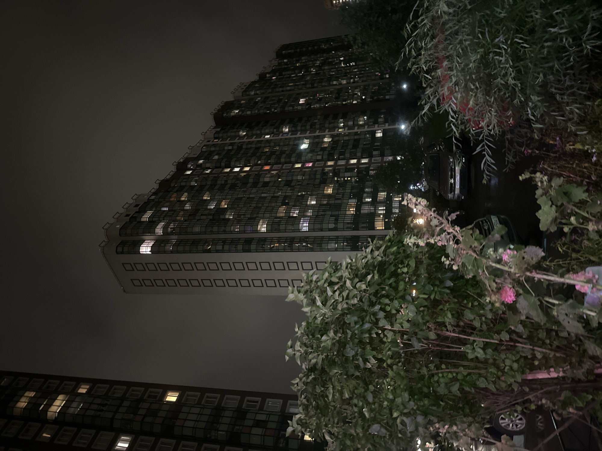 An exterior, night-time, ground-level view of multiple high-rise residential buildings in Sinyavino, Russia, is captured. The buildings are illuminated from within by numerous lit windows, creating a grid-like pattern of light against the dark facades. In the foreground, dense green foliage and flowering plants partially obscure the lower portions of the buildings and a section of a paved area. A silver sedan is parked on the paved surface, visible between the foliage. The sky is dark and overcast, contributing to the overall dim lighting conditions. The architectural style of the buildings suggests a modern, urban environment.
