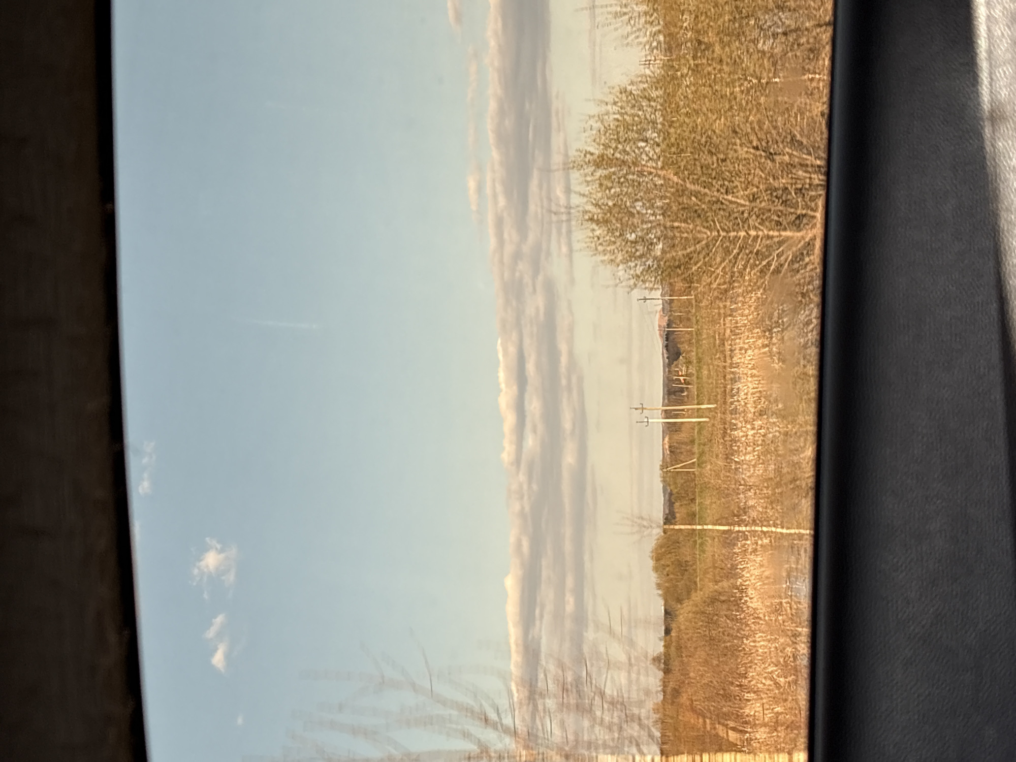 The image captures a landscape view from within a vehicle, likely a car, based on the presence of an interior panel on the right side. On the left, a clear, light blue sky is visible with a few scattered white clouds. Running vertically down the center of the frame, there's a line of elongated, light-colored clouds that appear to be reflecting sunlight. To the right of these clouds, the landscape consists of a field with vegetation, likely grasses and bushes. Bare trees or shrubs are scattered throughout the field. In the distance, power lines and a few indistinguishable structures can be seen, suggesting a rural setting. The photograph seems to have been taken while the vehicle was stationary or moving slowly, given the relative clarity of the scene. The location in the city of Nizhniye Vyazovye, Russia is not readily verifiable from this photograph alone.