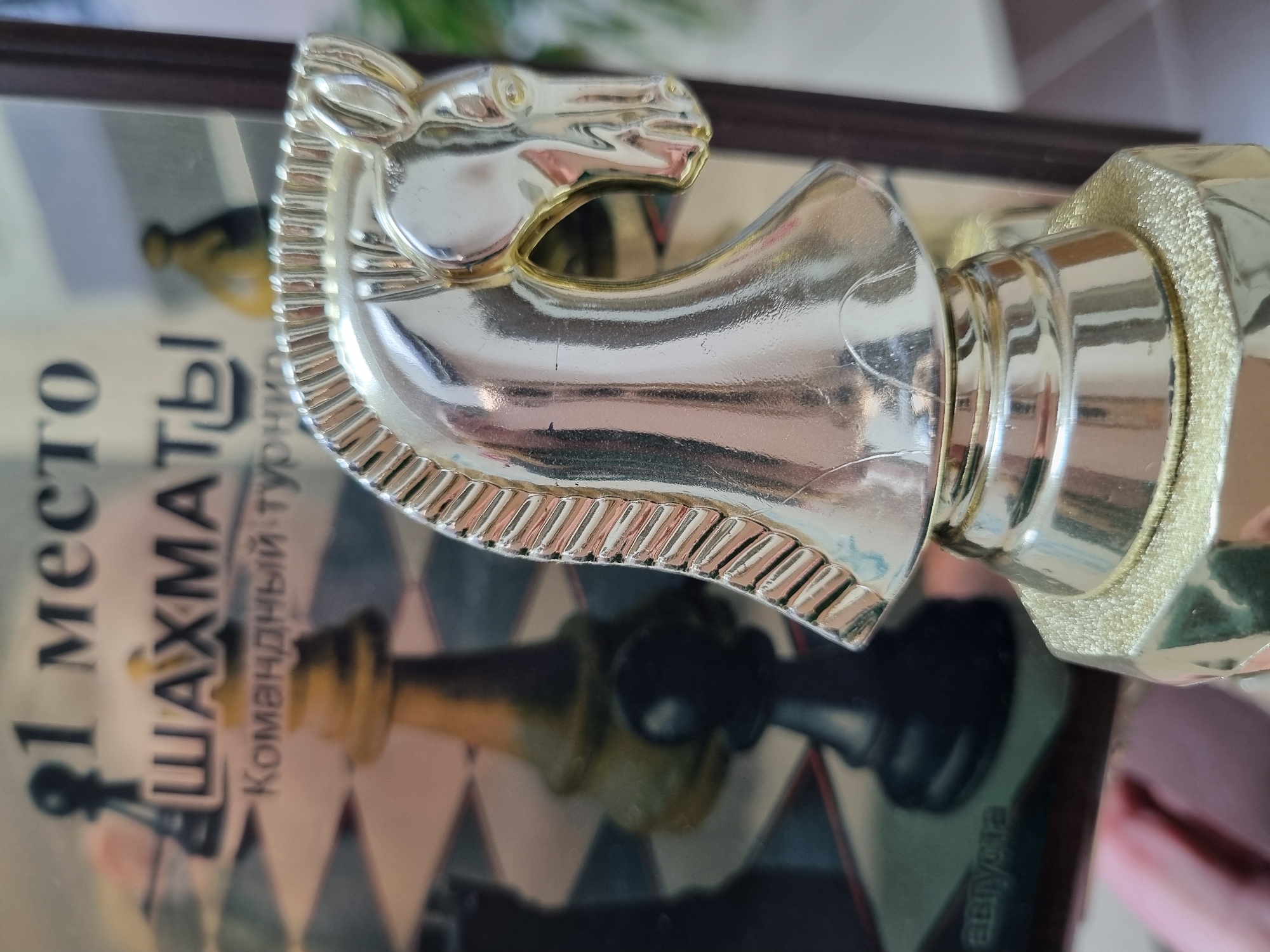 A close-up shot depicts a chess trophy in the form of a knight's head, seemingly made of a reflective, silver-colored metal. The trophy sits on a surface that appears to be a book cover or a framed picture, partially visible. The cover displays a chess piece and Russian text, most notably "1 место ШАХМАТЫ" (1st place CHESS). The background is blurred and indistinct, with hints of dark and light shapes and colors. No people are visible. The scene provides no specific details allowing the determination of a location in the city of Kemul, Russia.