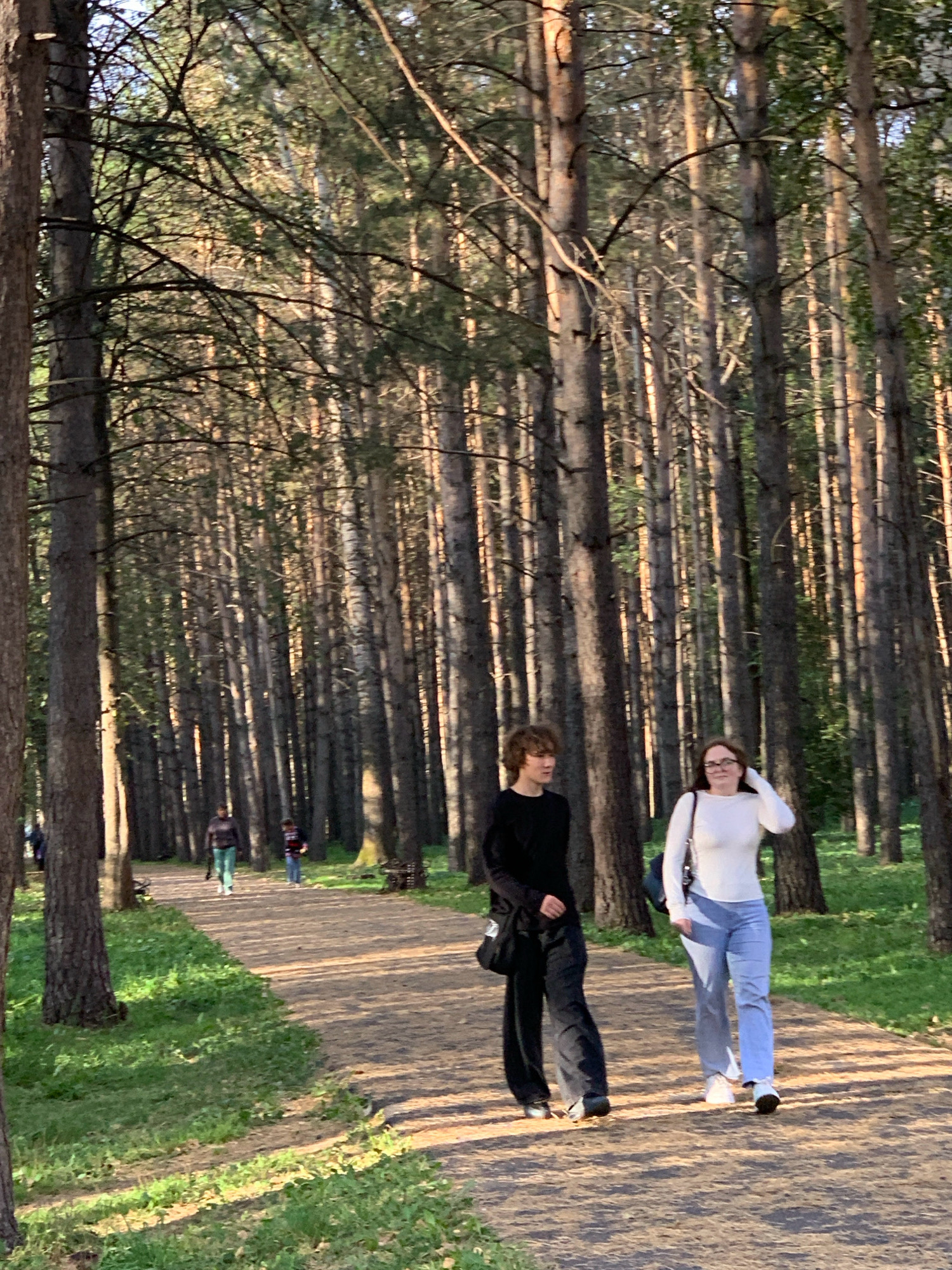Two young people, a male and a female, are walking on a dirt path in a park. The male is wearing a black long-sleeved shirt and dark, loose-fitting pants, and carrying a black bag over his shoulder. The female is wearing a white long-sleeved shirt and light blue jeans, and has her hand on her head. The path is lined with tall pine trees, and there is green grass on either side. The sun is shining through the trees, casting shadows on the ground. The image is taken from a low angle, looking up at the people and trees. This location is the central park of Prokopyevsk, Russia.
