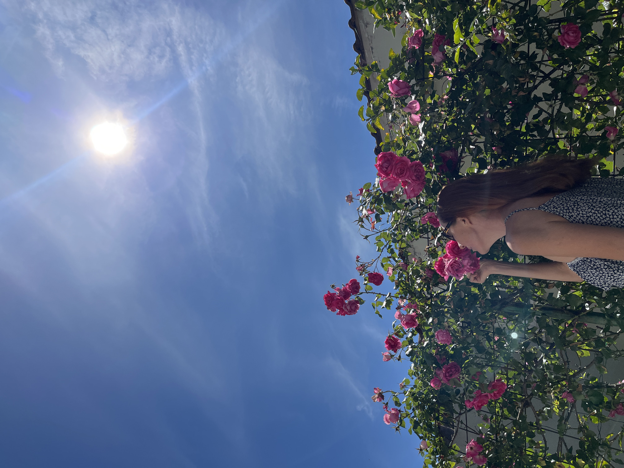 A woman smells pink roses in Budva, Montenegro on a sunny day. The sky is blue with light clouds and the sun shines brightly. The roses grow on a trellis attached to a white building. The woman has brown hair and wears a black and white patterned dress.