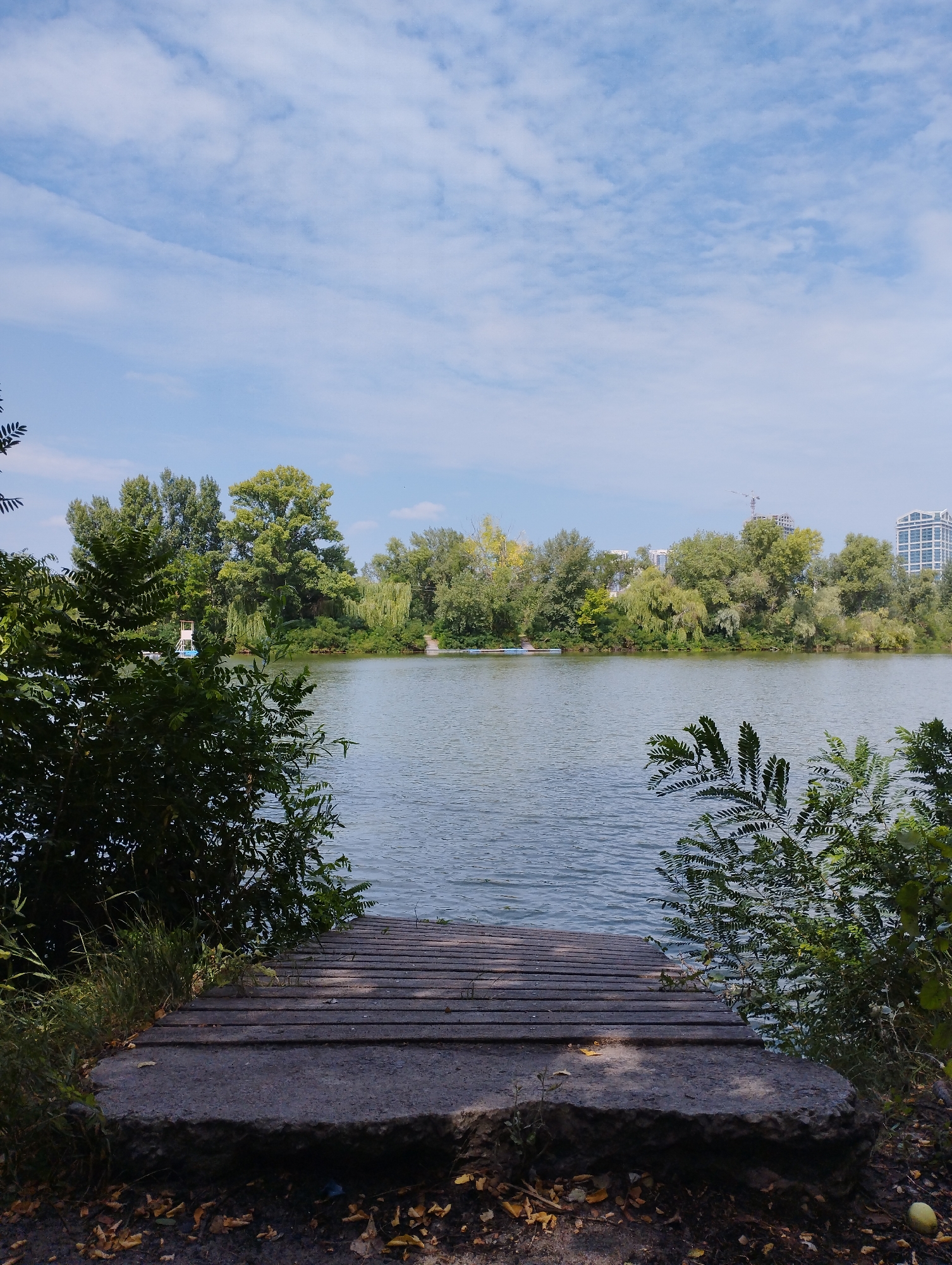 A wooden boardwalk leads to a calm body of water, flanked by lush green trees and vegetation. The sky above is a bright blue, dotted with fluffy white clouds. In the background, across the water, a line of trees forms a dense forest. Further in the distance, city buildings are visible, including a tall skyscraper and a construction crane, indicating an urban setting. The scene is serene and natural, with a touch of urban development on the horizon.