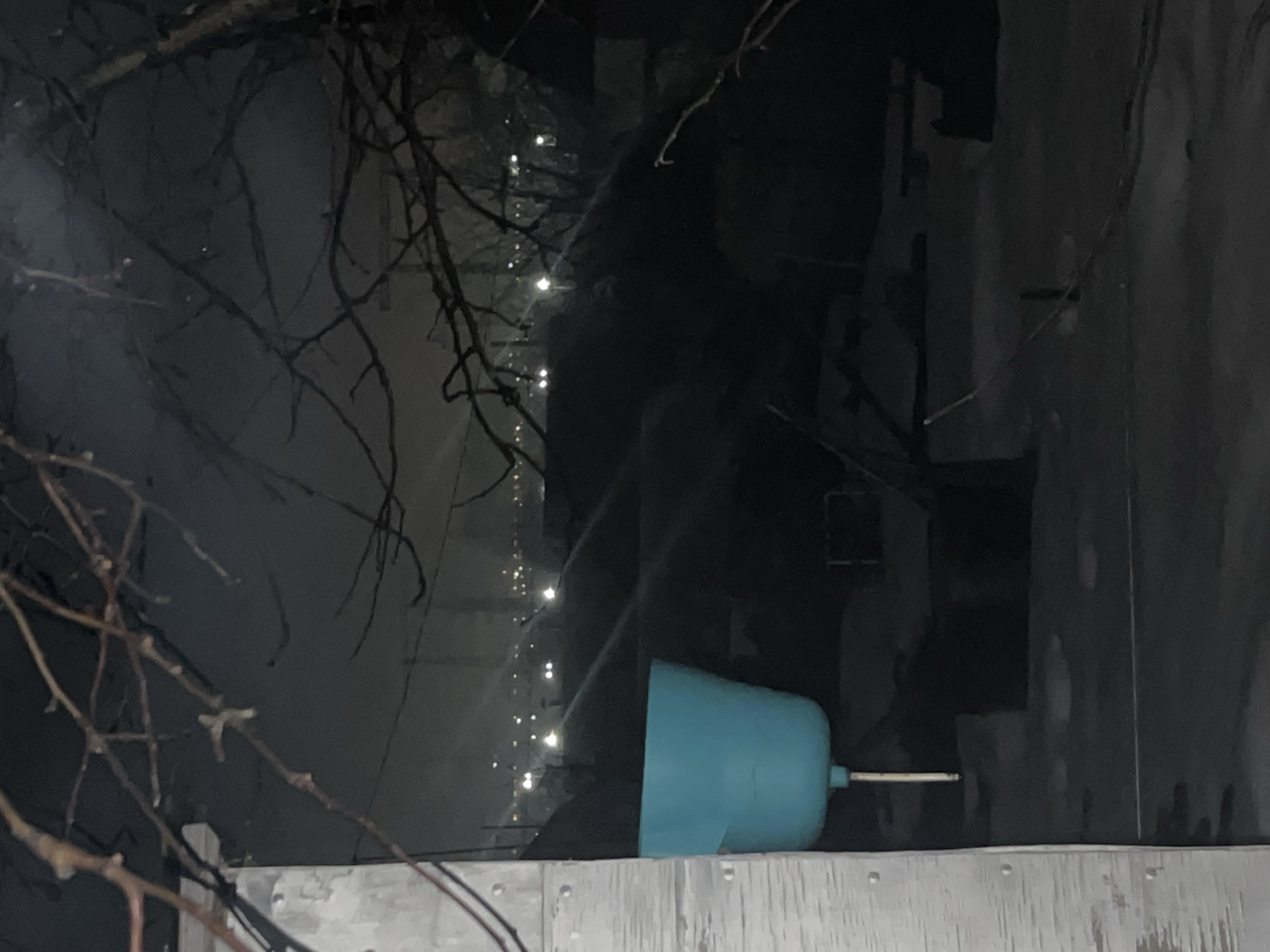 A night scene possibly taken in Chaikovsky, Russia, includes bare tree branches obscuring parts of the background, and a light-blue watering can-shaped object on a weathered, light-colored ledge. Behind the ledge, lights are visible in the distance, potentially indicating a building or street. The background is mostly dark and blurred, with vertical structures suggesting urban architecture. The image is grainy, suggesting low lighting conditions.