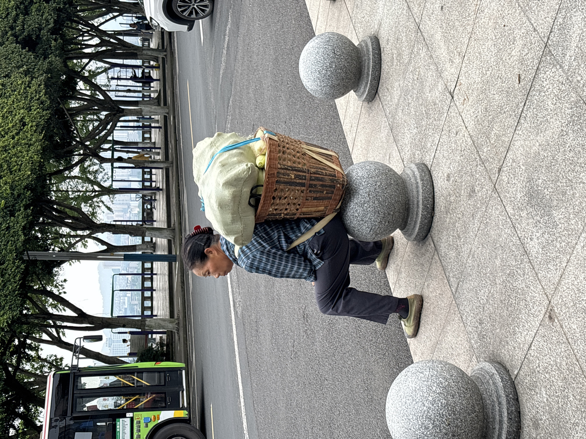 The image shows a woman carrying a large basket filled with what appears to be produce, resting on top of a stone sphere. The basket is woven and tied with a blue rope, and it is covered by a light-colored cloth bag. The woman is wearing a blue and black plaid shirt, dark pants, and light-colored sneakers. She has her hair tied back with a red clip. She is walking on a tiled sidewalk, next to a street with a bus. The bus is green and white, with some text on its side, though it is not clearly legible. In the background, there are trees with lush green foliage, and beyond that, a cityscape with tall buildings. The sidewalk also has several other stone spheres along its edge. The scene appears to be outdoors during the daytime, with overcast weather conditions. The woman's posture suggests she is carrying a heavy load. The overall setting is urban, with elements of nature provided by the trees.