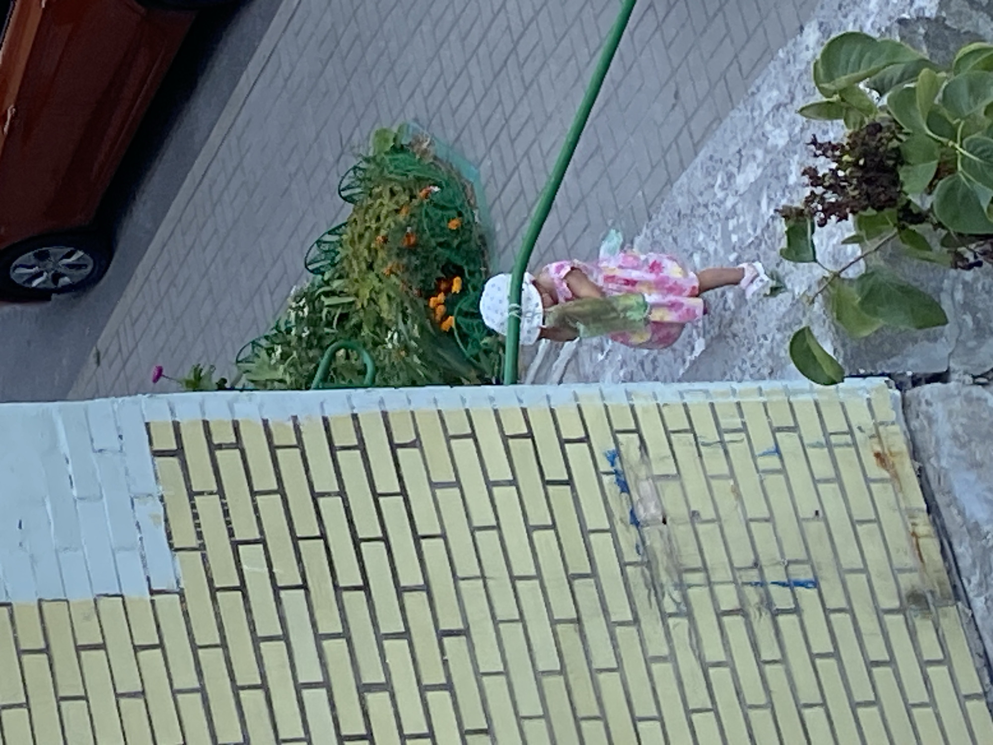 A high-angle, medium shot shows a young child wearing a white bucket hat and a pink floral dress, standing on a grey stone surface next to a brick wall partially painted white. The child is holding a green plastic bag. To the right of the child is a flowerbed with green foliage and orange flowers, bordered by a green metal fence. A red car is visible in the background on a paved surface. The scene appears to be outdoors in an urban environment.